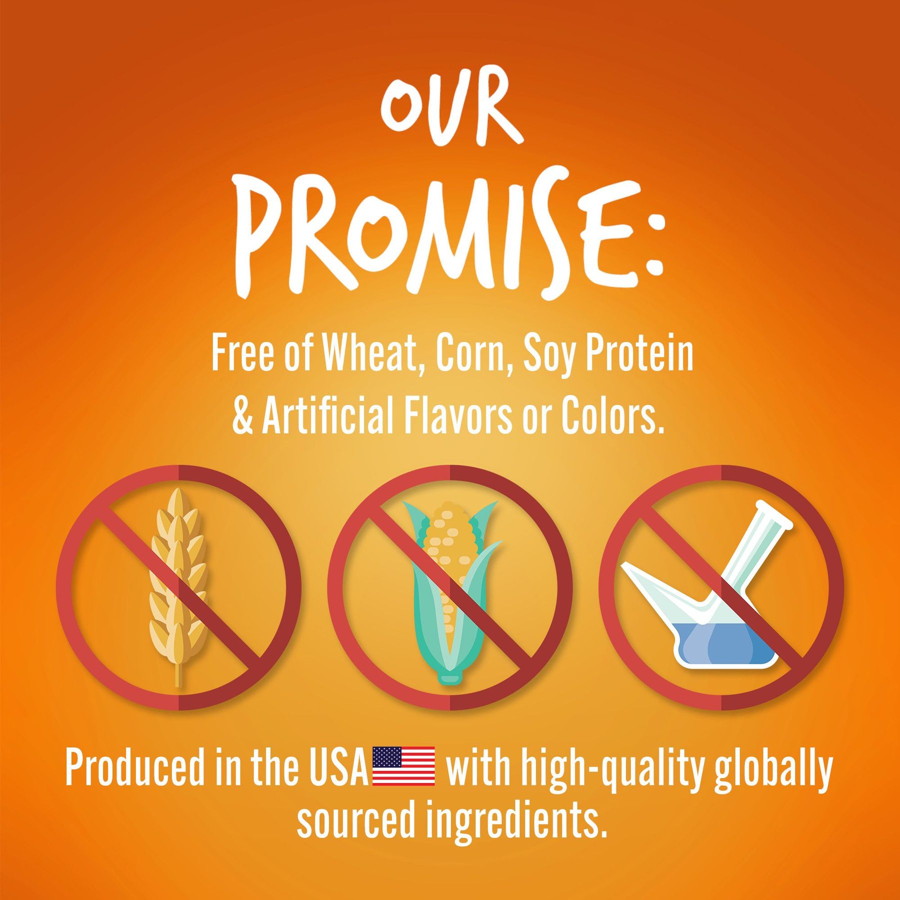 Fruitables Skinny Minis Pumpkin & Mango Flavor Soft & Chewy Dog Treats