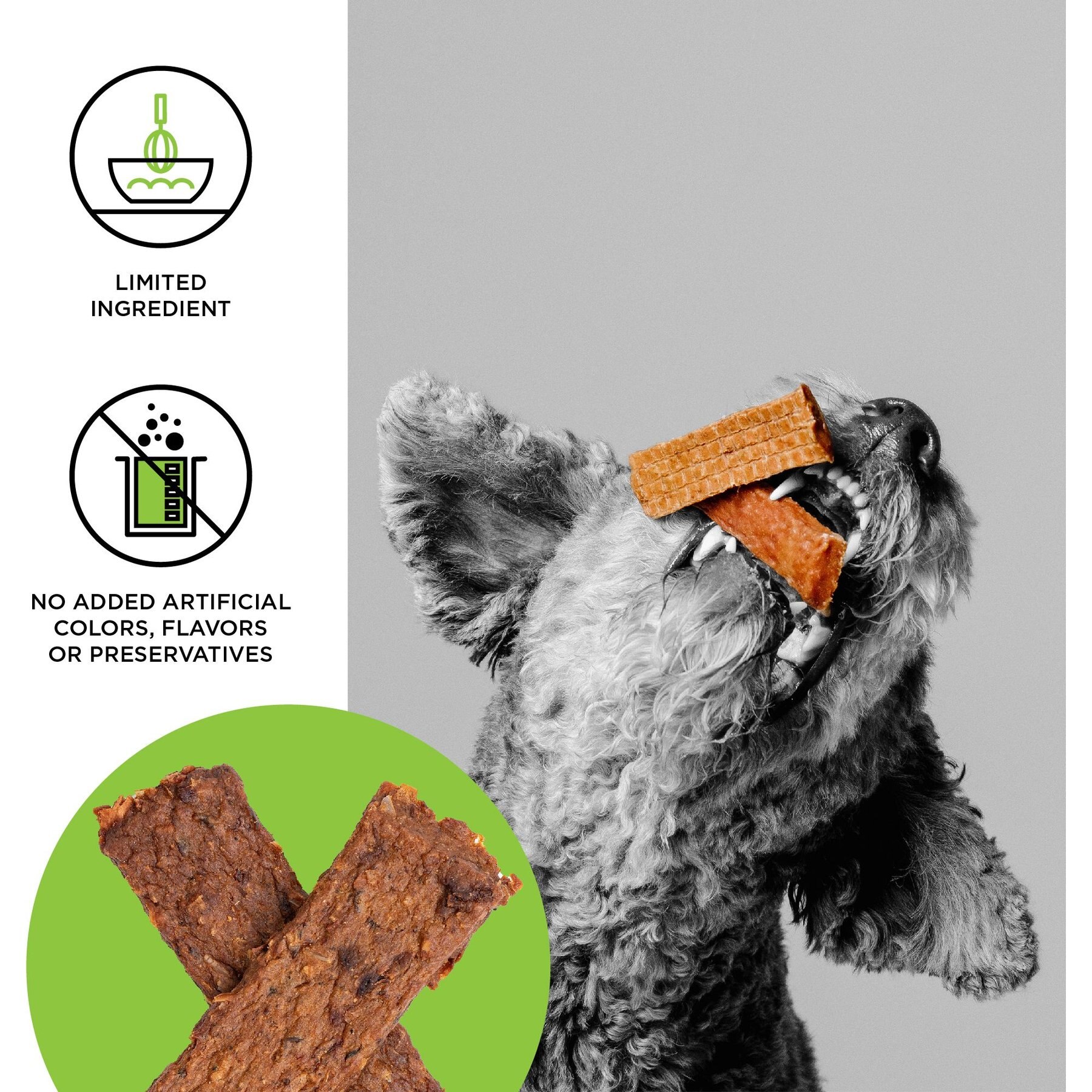 BIXBI Jerky Treats Chicken Recipe Dog Treats