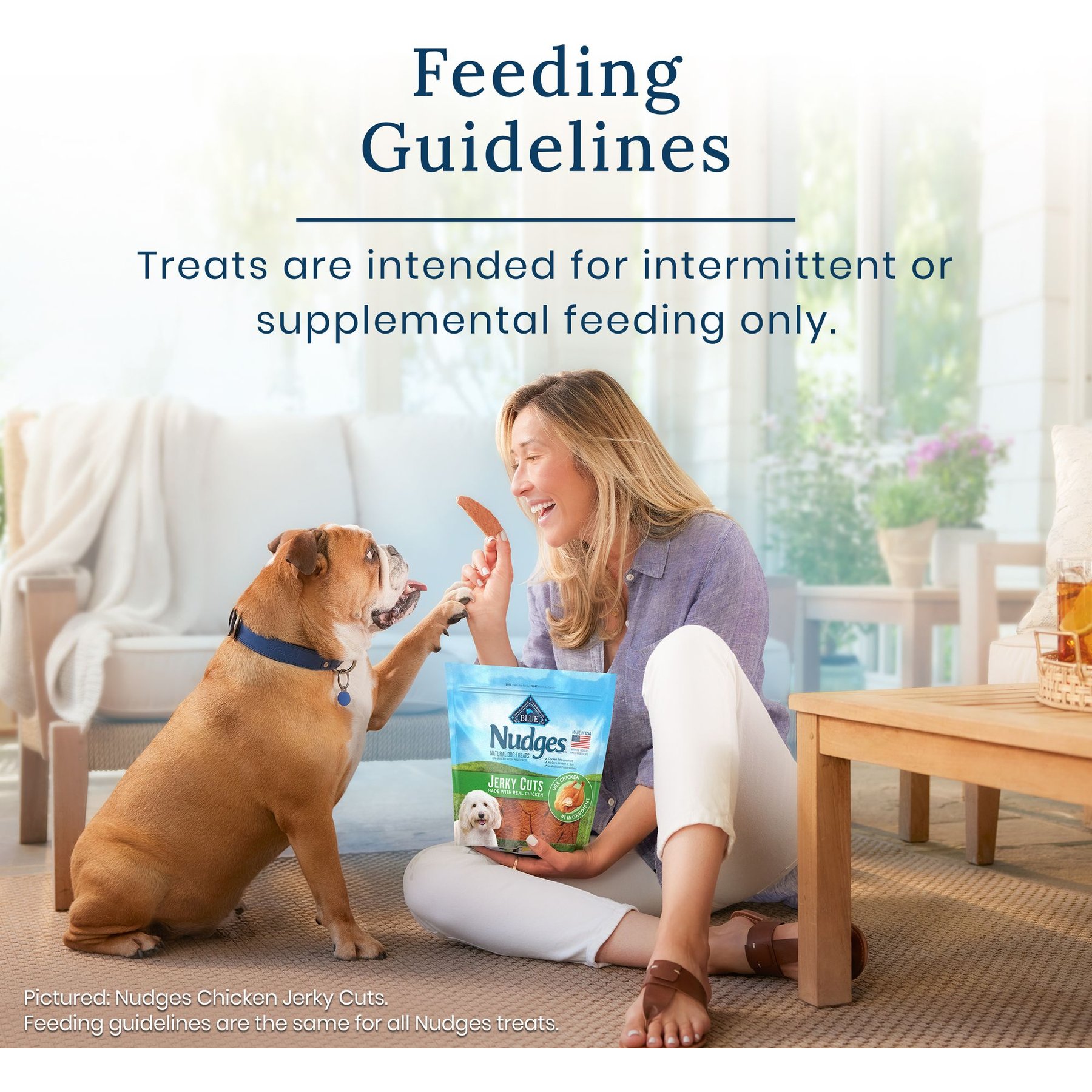 Blue Buffalo Nudges Jerky Cuts Chicken & Duck Dog Treats