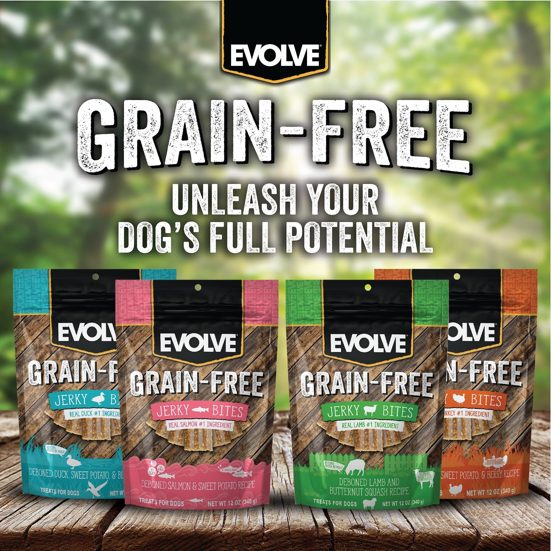 Evolve Salmon & Sweet Potato Recipe Jerky Bites Grain-Free Dog Treats