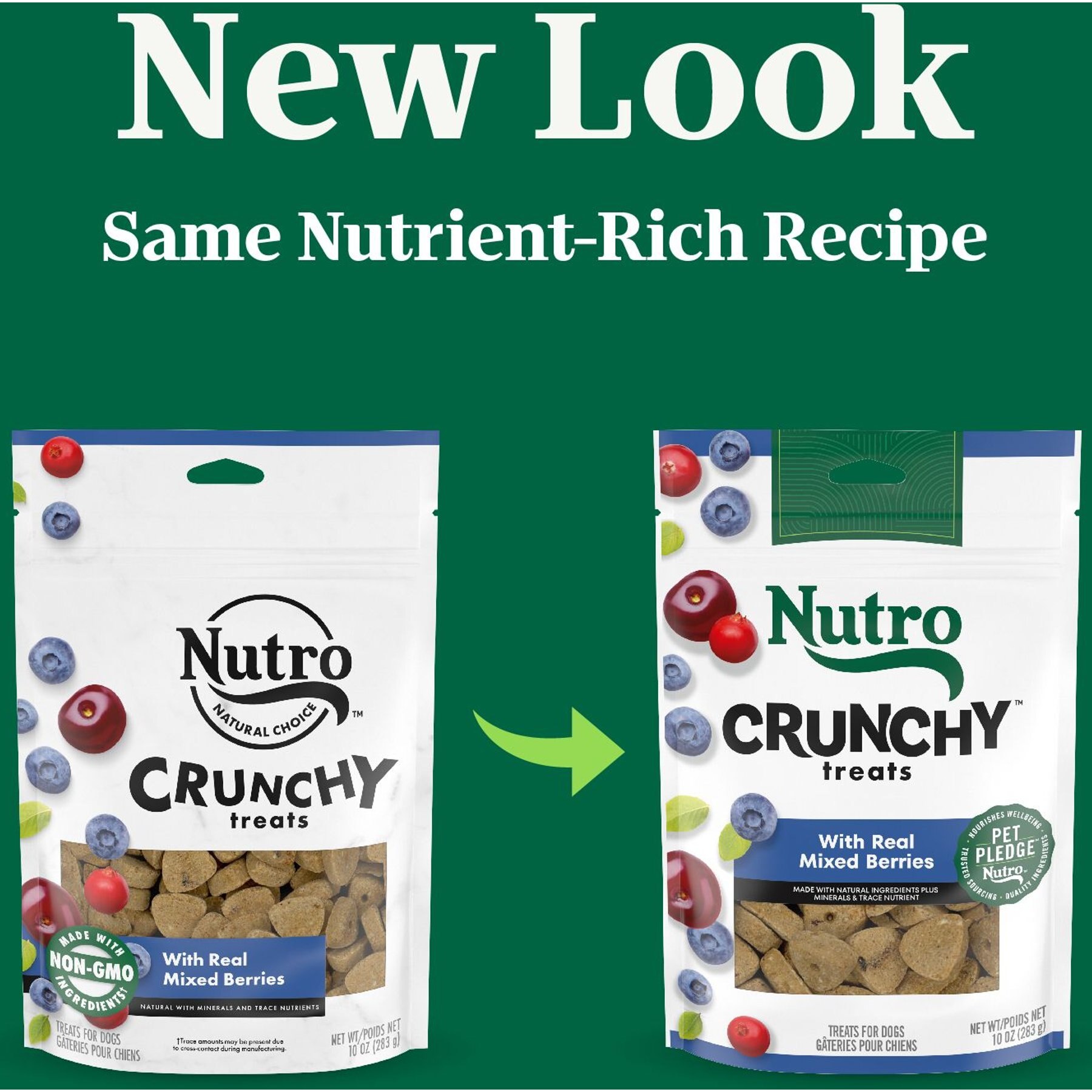 Nutro Crunchy with Real Mixed Berries Dog Treats
