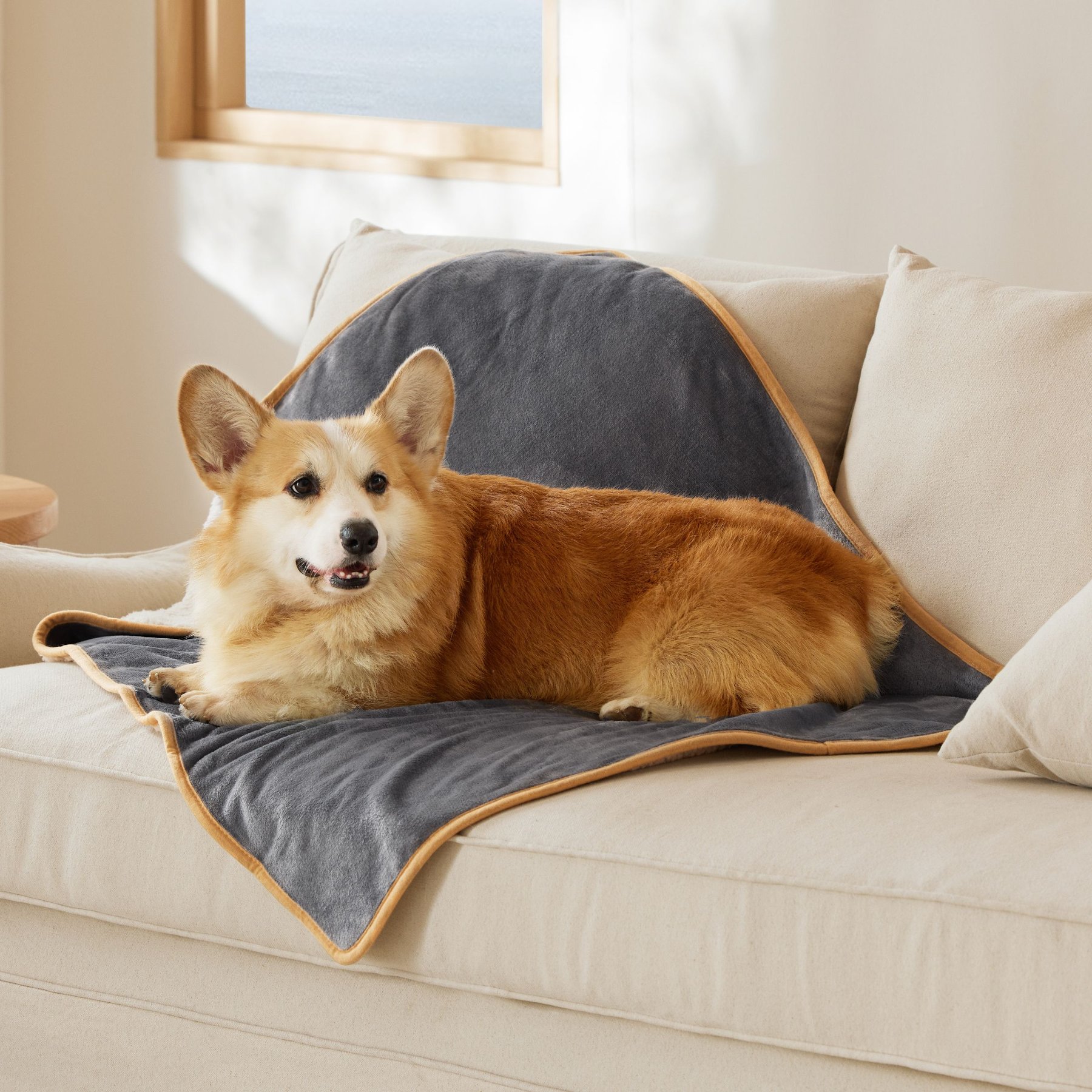 Bedsure Waterproof Sherpa Fleece Reversible Furniture Protector Dog & Cat Throw Blanket