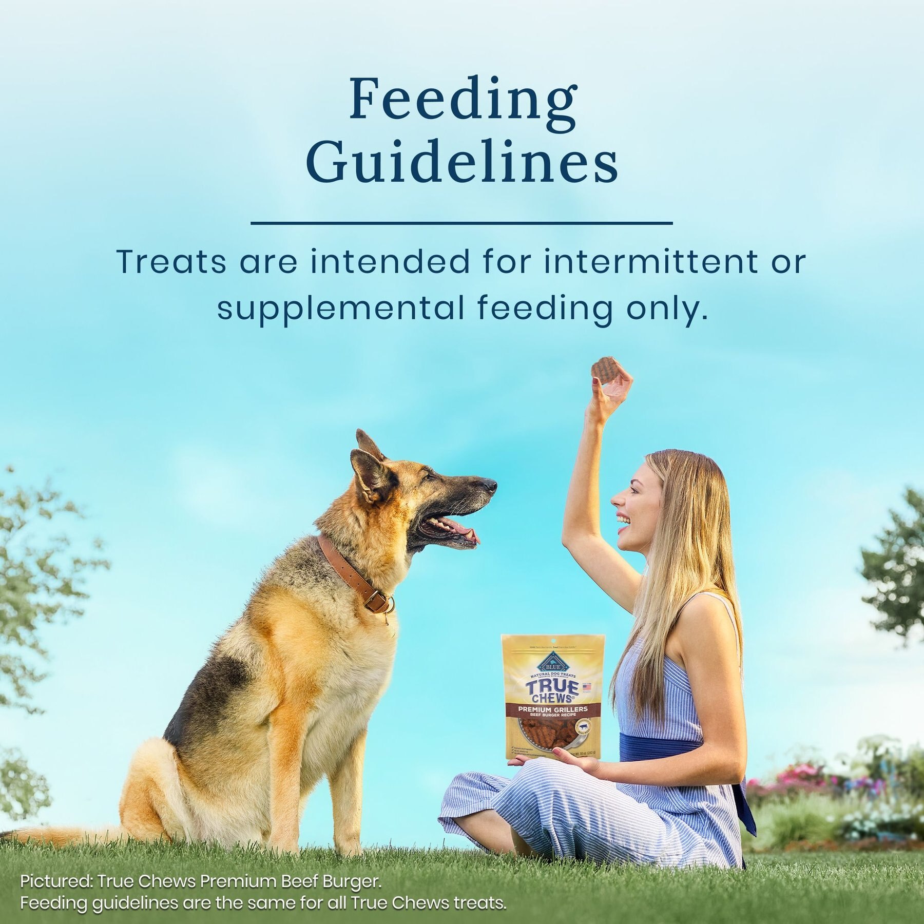 Blue Buffalo True Chews Premium Grillers with Real Steak Grain-Free Dog Treats