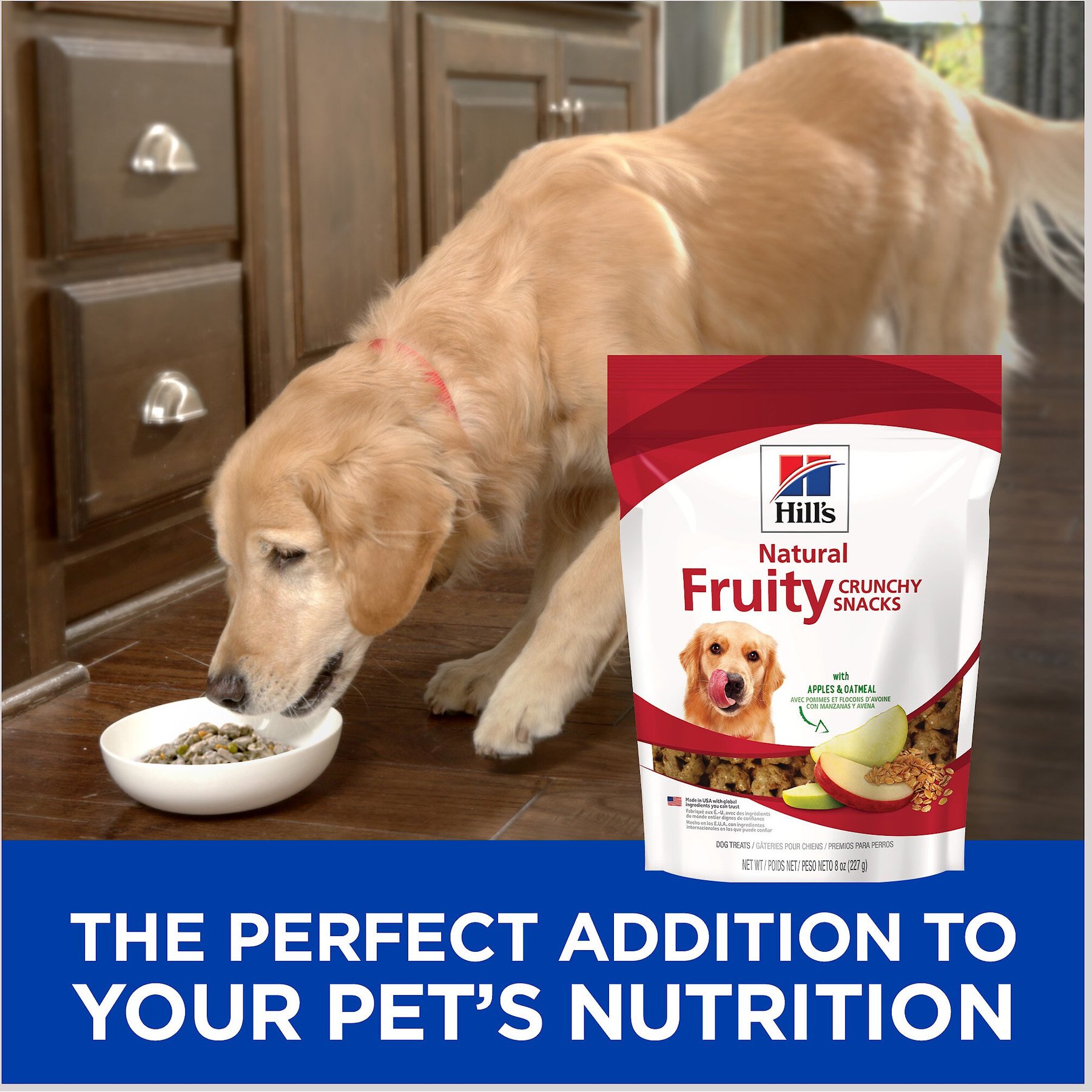 Hill's Natural Fruity Snacks with Apples & Oatmeal Crunchy Dog Treats