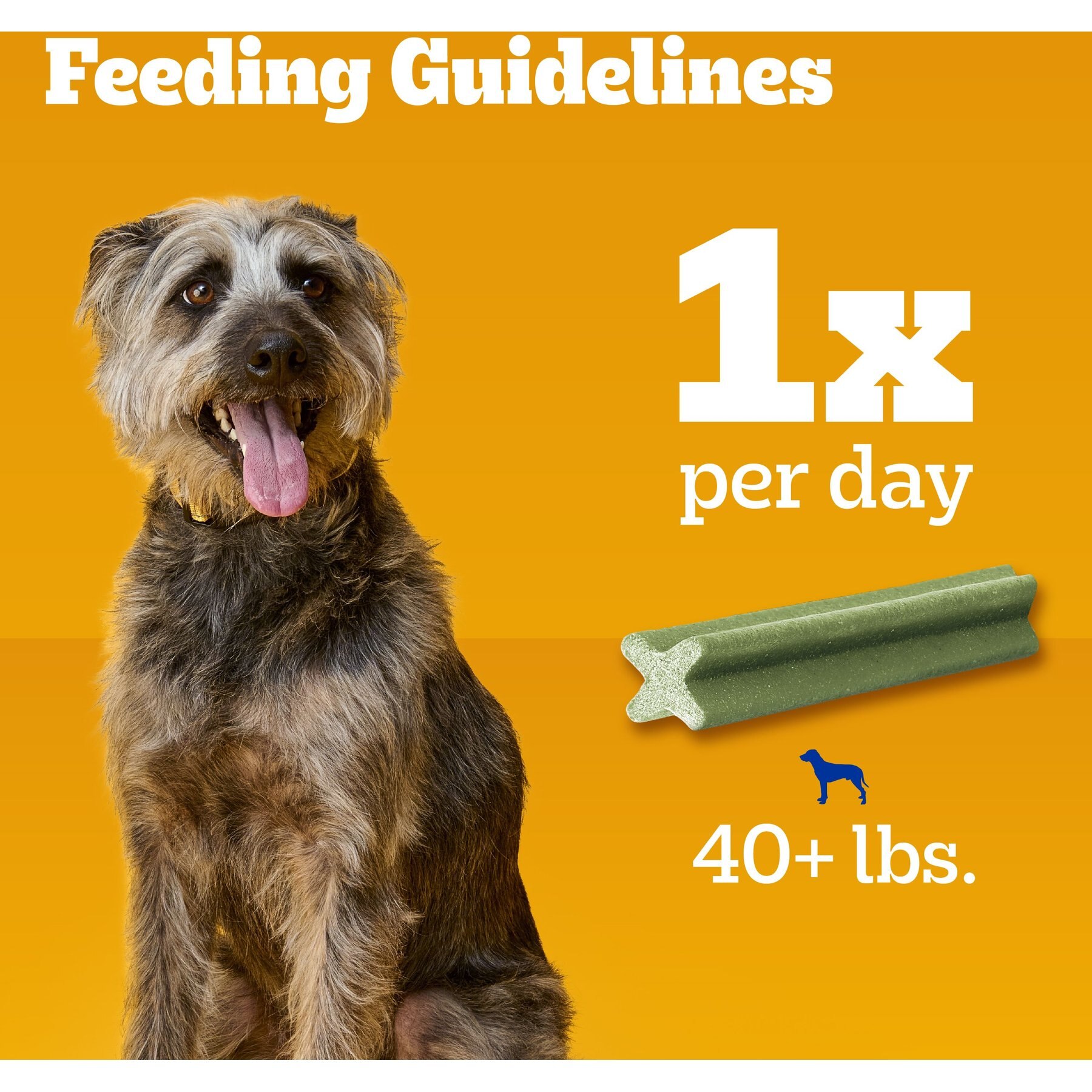 Pedigree Dentastix Fresh Mint Flavored Large Dental Dog Treats
