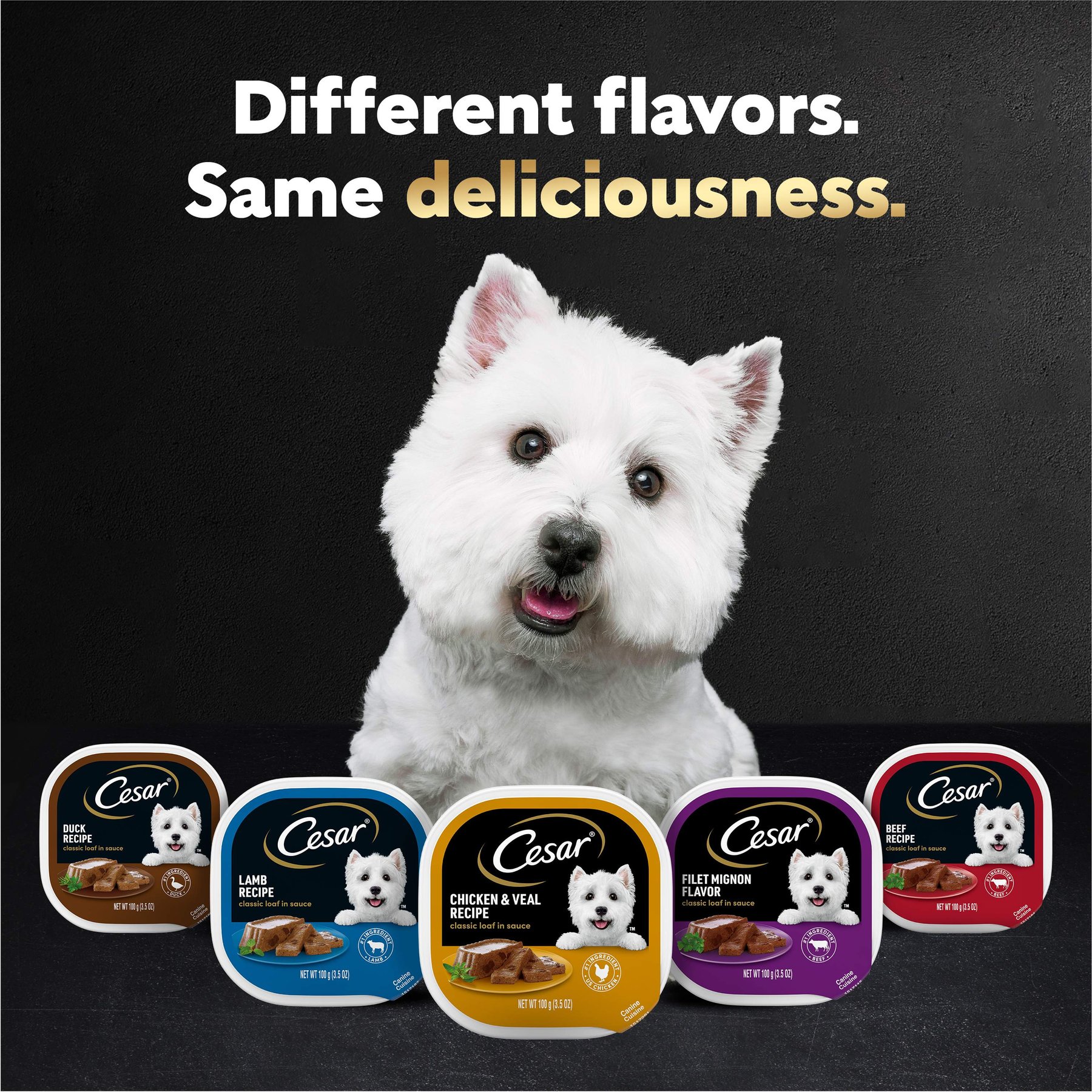 Cesar Classic Loaf in Sauce Chicken & Liver Recipe Grain-Free Small Breed Adult Wet Dog Food Trays