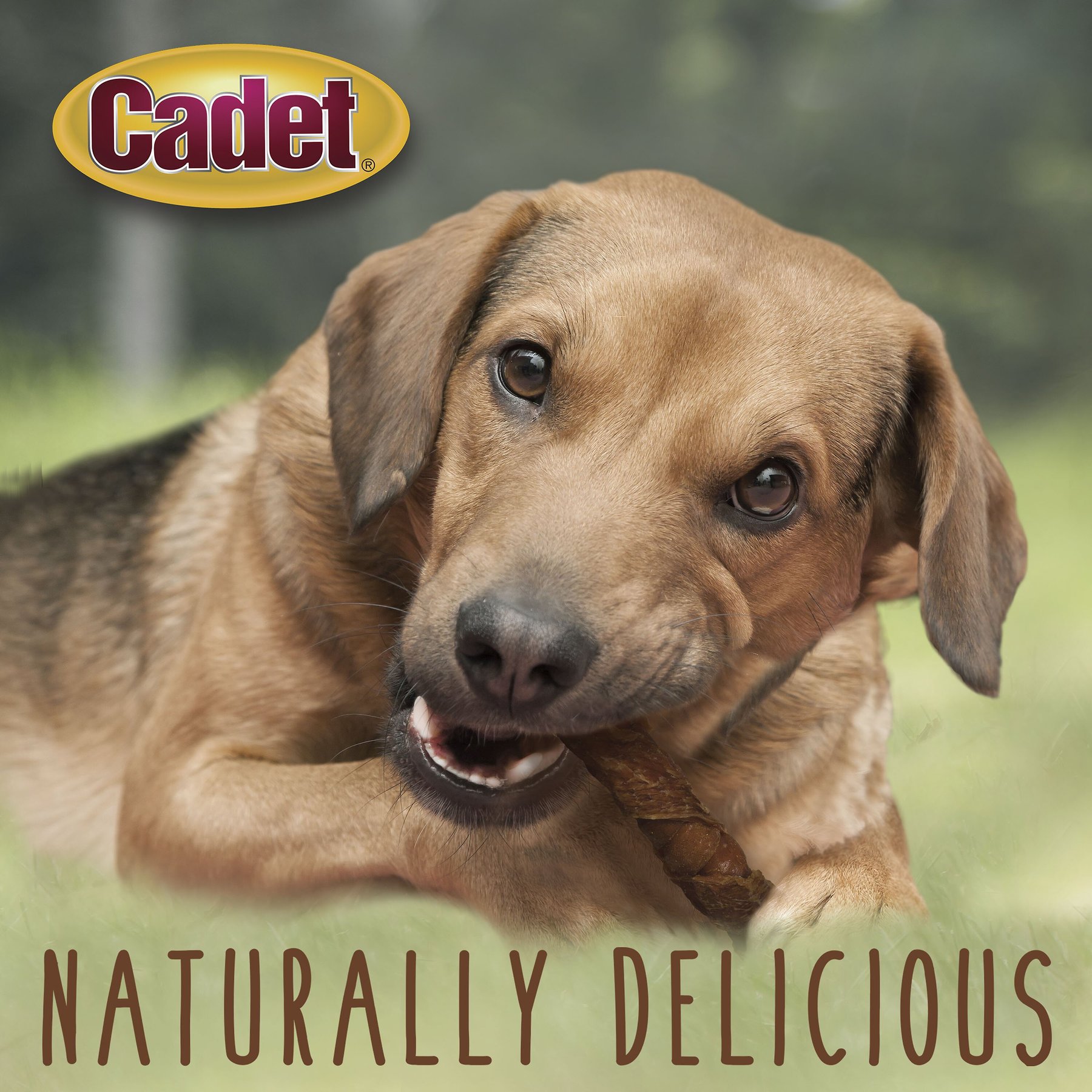 Cadet Gourmet Triple Chews Sweet Potato, Duck, & Pork Hide Twists Dog Treats, 6 count