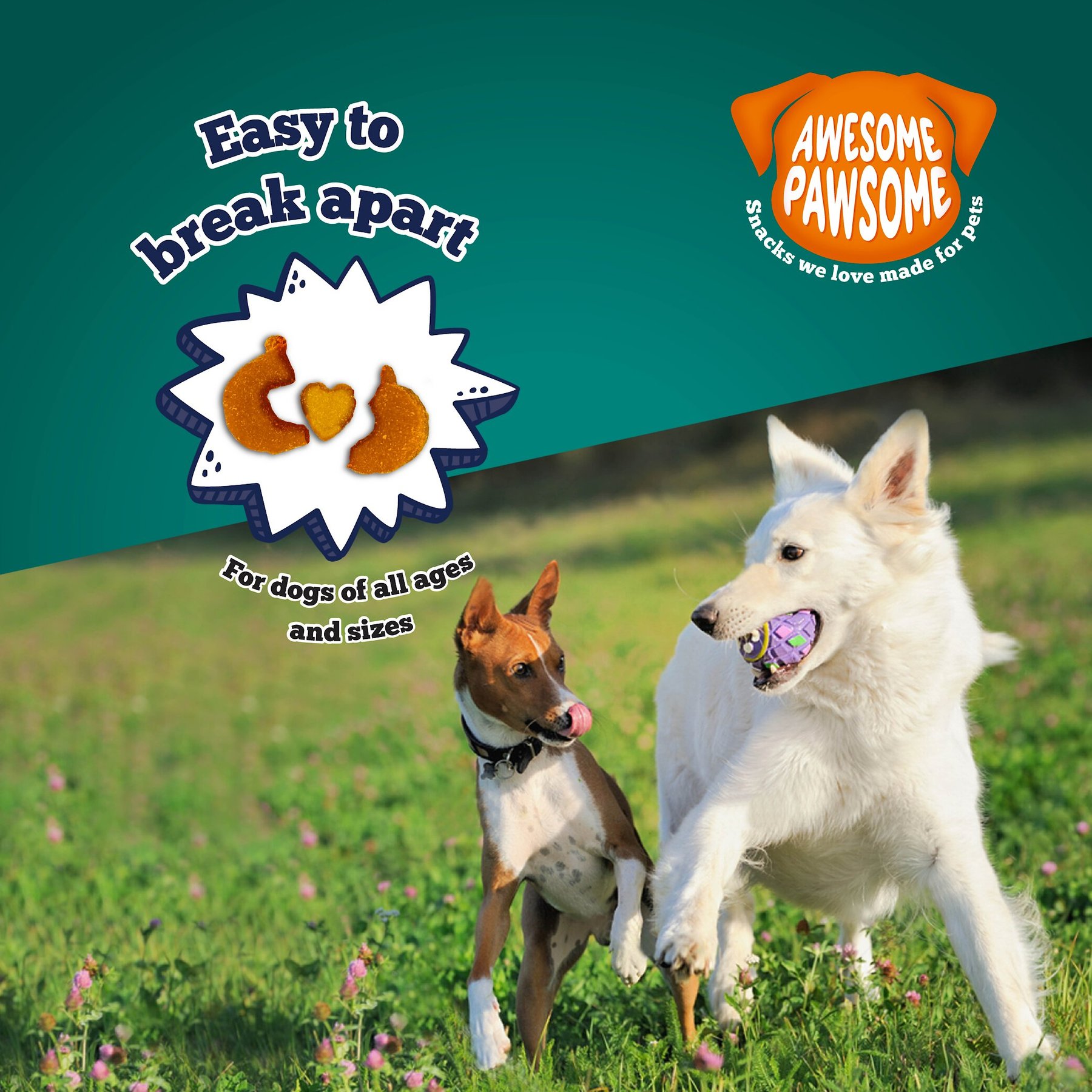 Awesome Pawsome Super Pumpkin Recipe Dog Treats, 3-oz bag