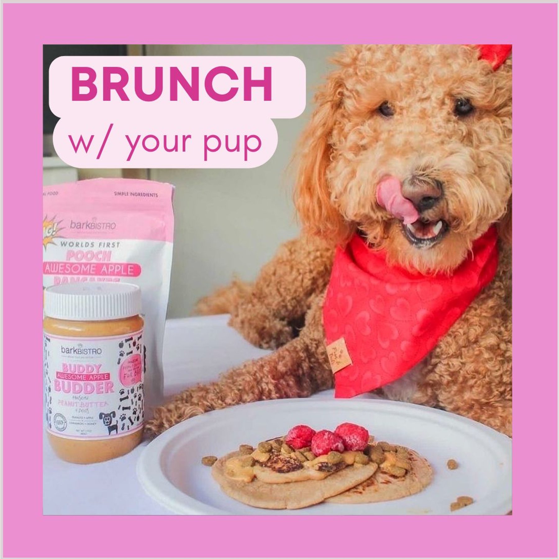 Bark Bistro Company Pooch Pancakes Awesome Apple Dog Treat, 14-oz bag