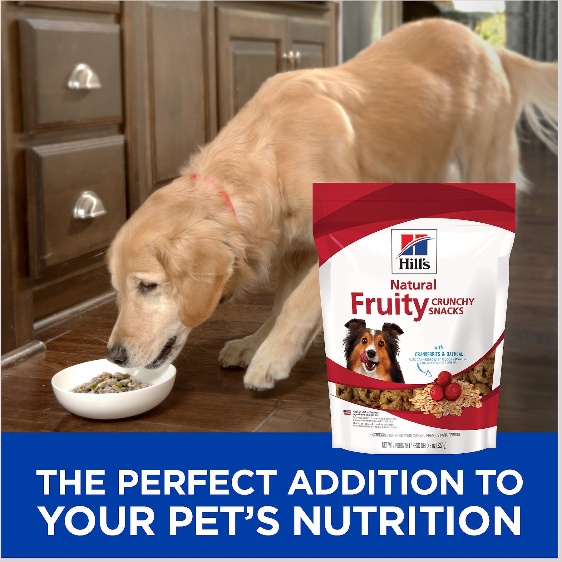 Hill's Natural Fruity Snacks with Cranberries & Oatmeal Crunchy Dog Treats