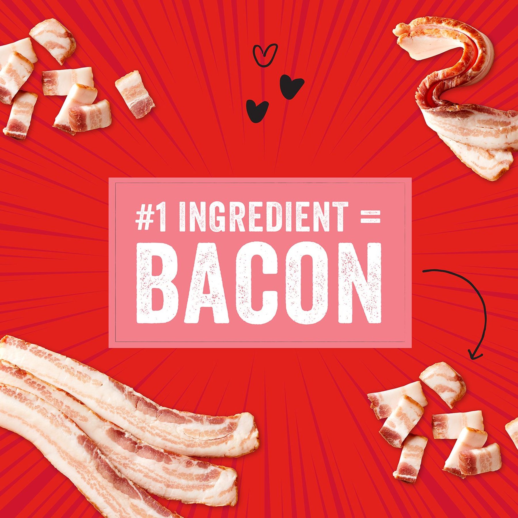 Stella & Chewy's Crav'n Bac'n Bites Bacon & Pork Recipe Dog Treats, 8.25-oz bag