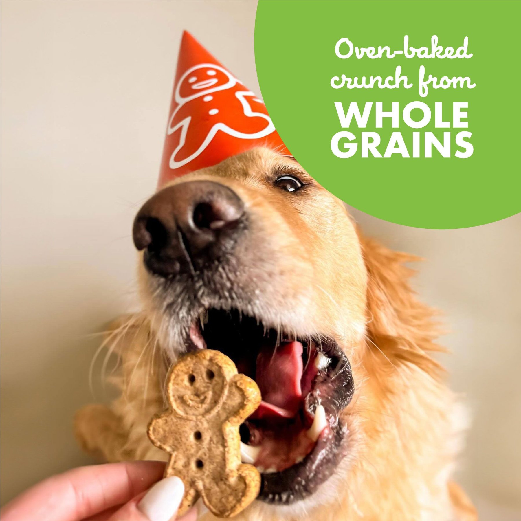 Buddy Biscuits with Roasted Chicken Oven Baked Dog Treats