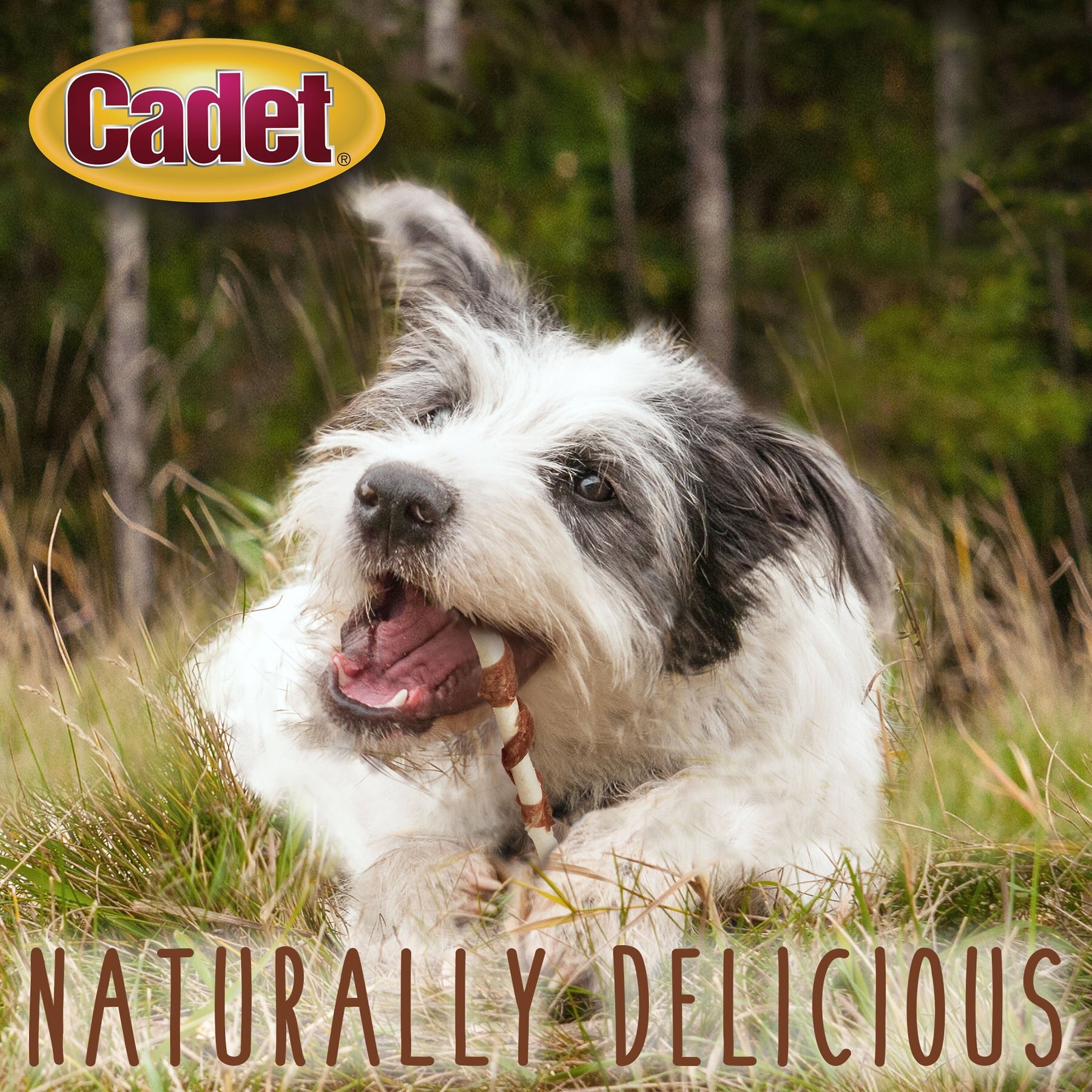 Cadet Gourmet Beef Hide & Duck Twist Sticks Dog Treats, 5-in