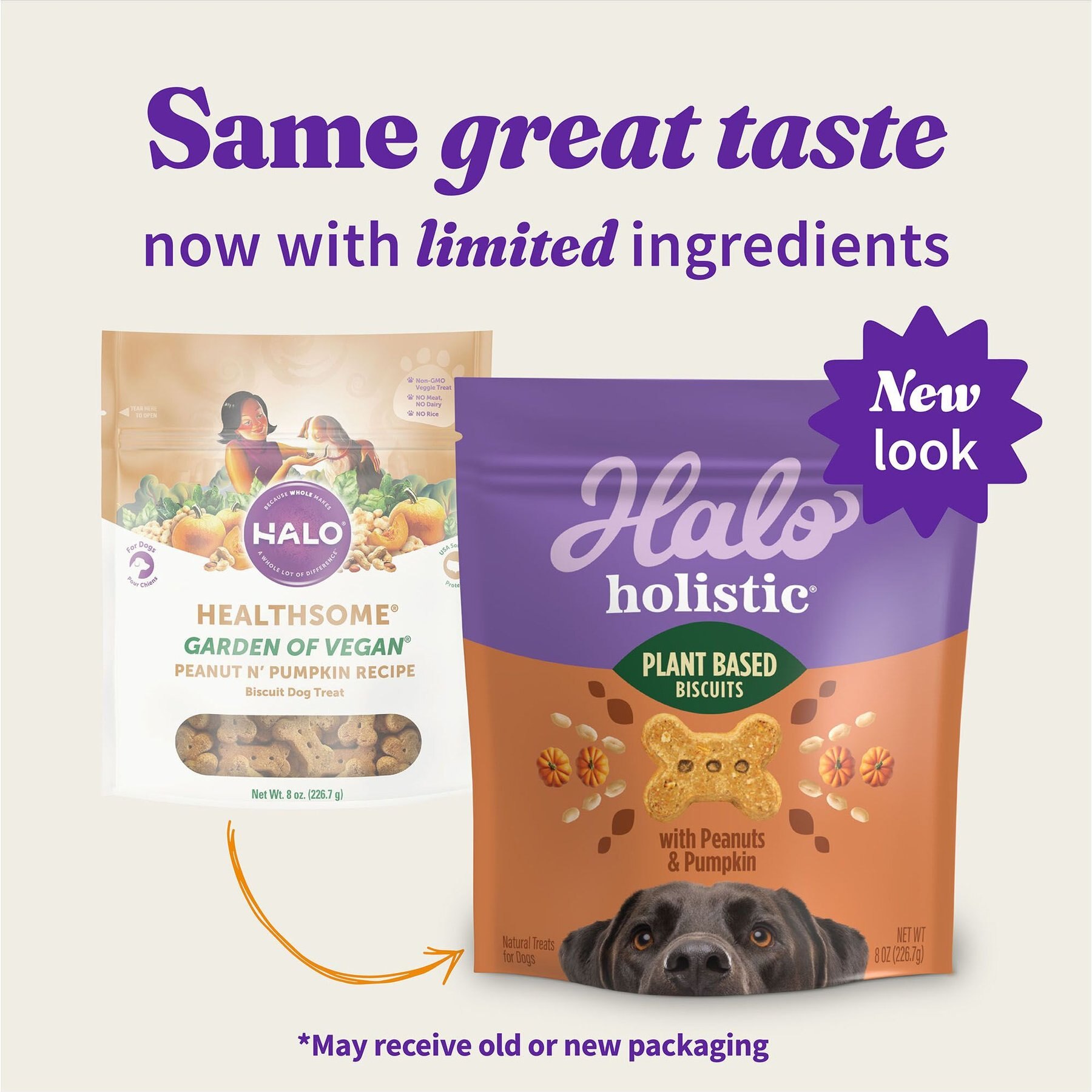 Halo Plant-Based Dog Treats with Peanuts & Pumpkin Vegan Dog Treat