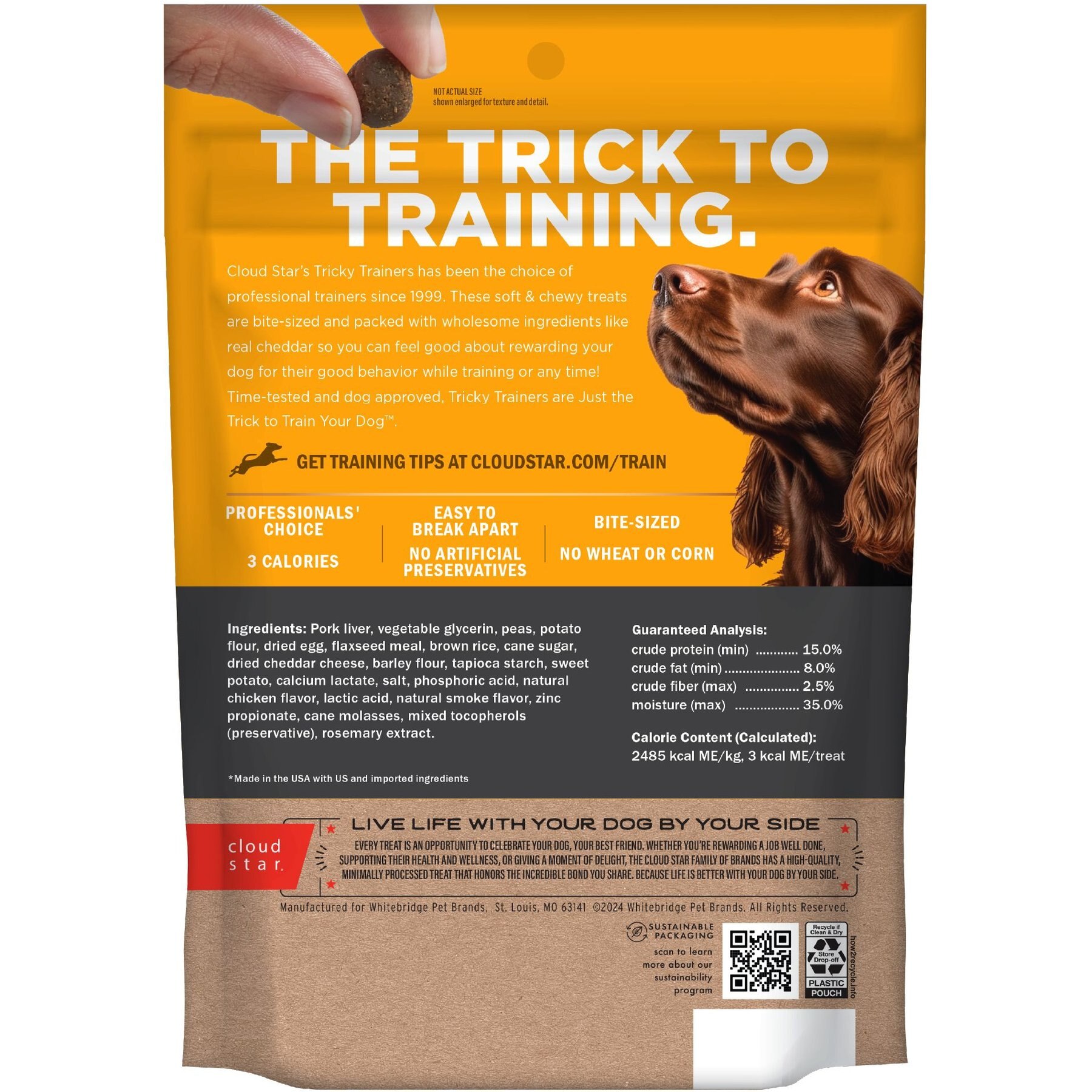 Cloud Star Chewy Tricky Trainers Cheddar Flavor Dog Treats