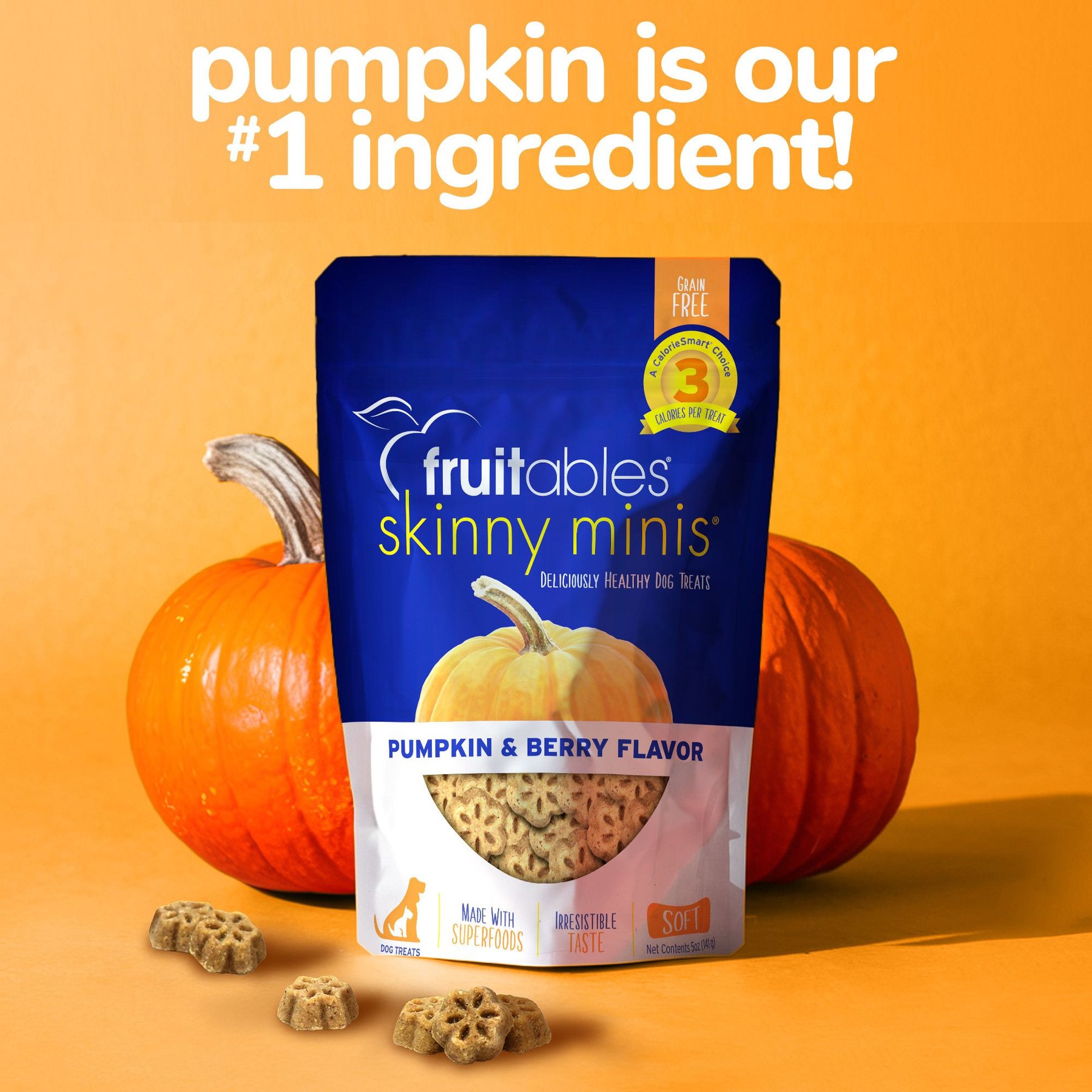 Fruitables Skinny Minis Pumpkin & Berry Flavor Dog Treats