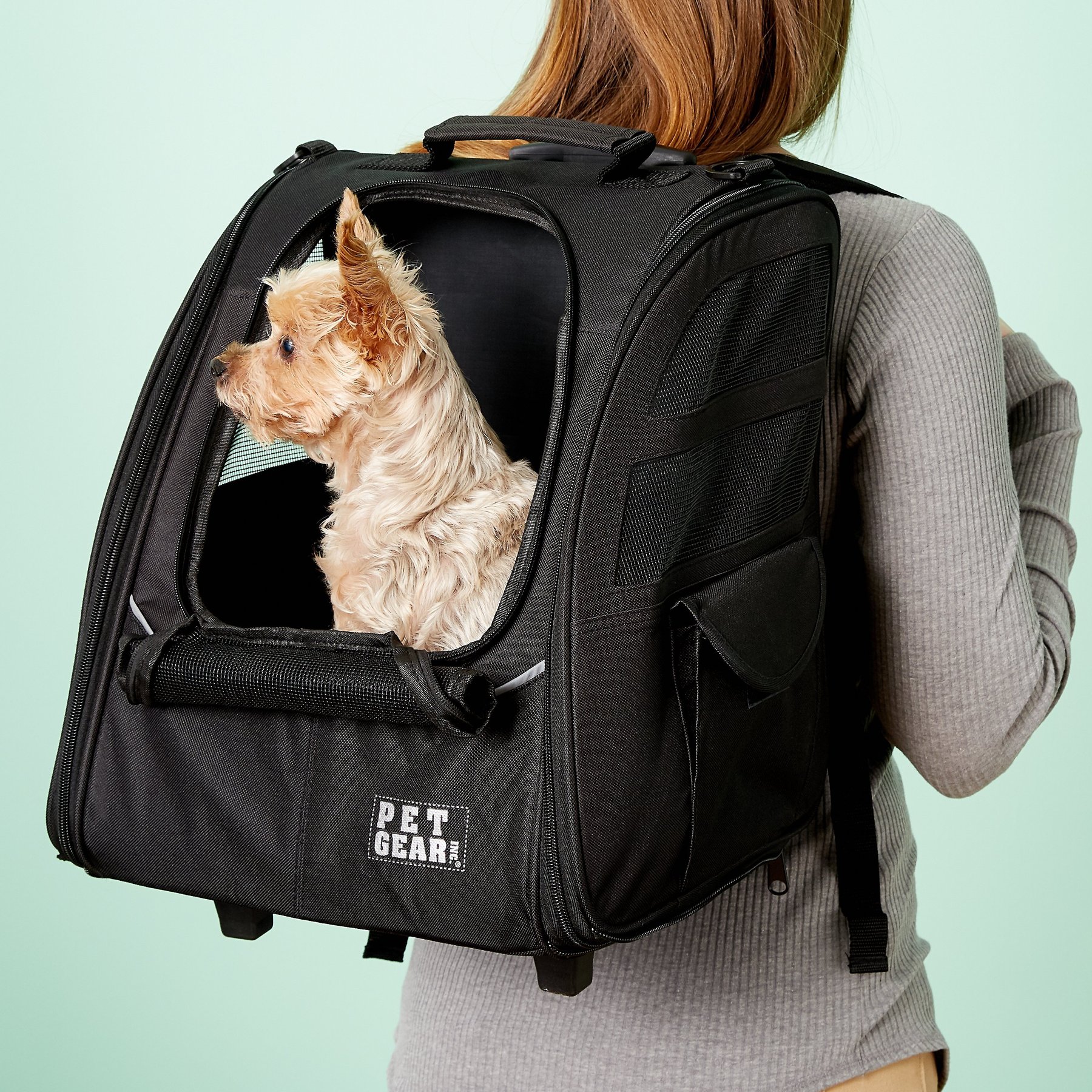 Stylish & Functional Pet Transport Pack Easy-to-Carry and Convertible to a Wheeled Cart