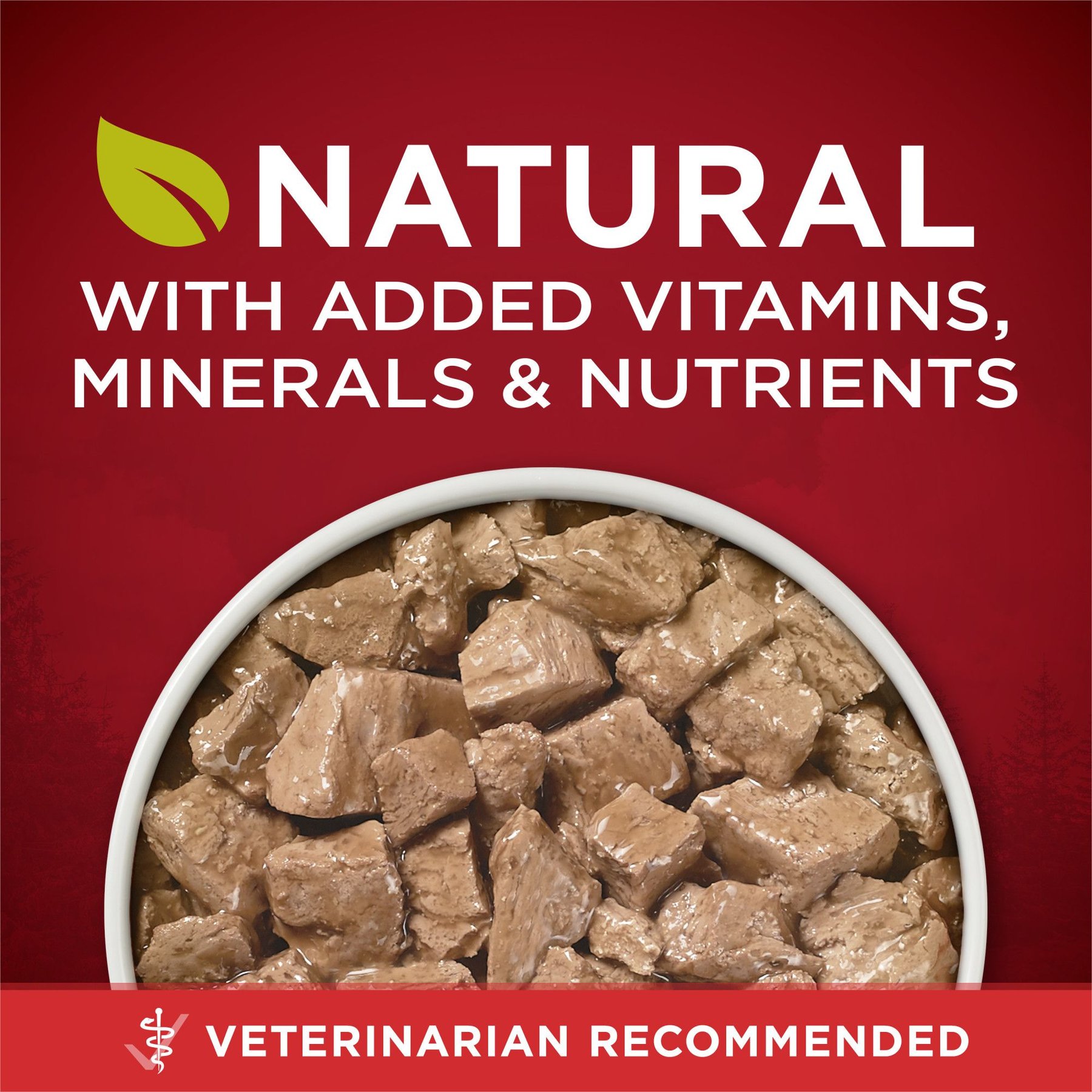 Purina ONE SmartBlend True Instinct Tender Cuts in Gravy with Real Chicken & Duck Canned Dog Food