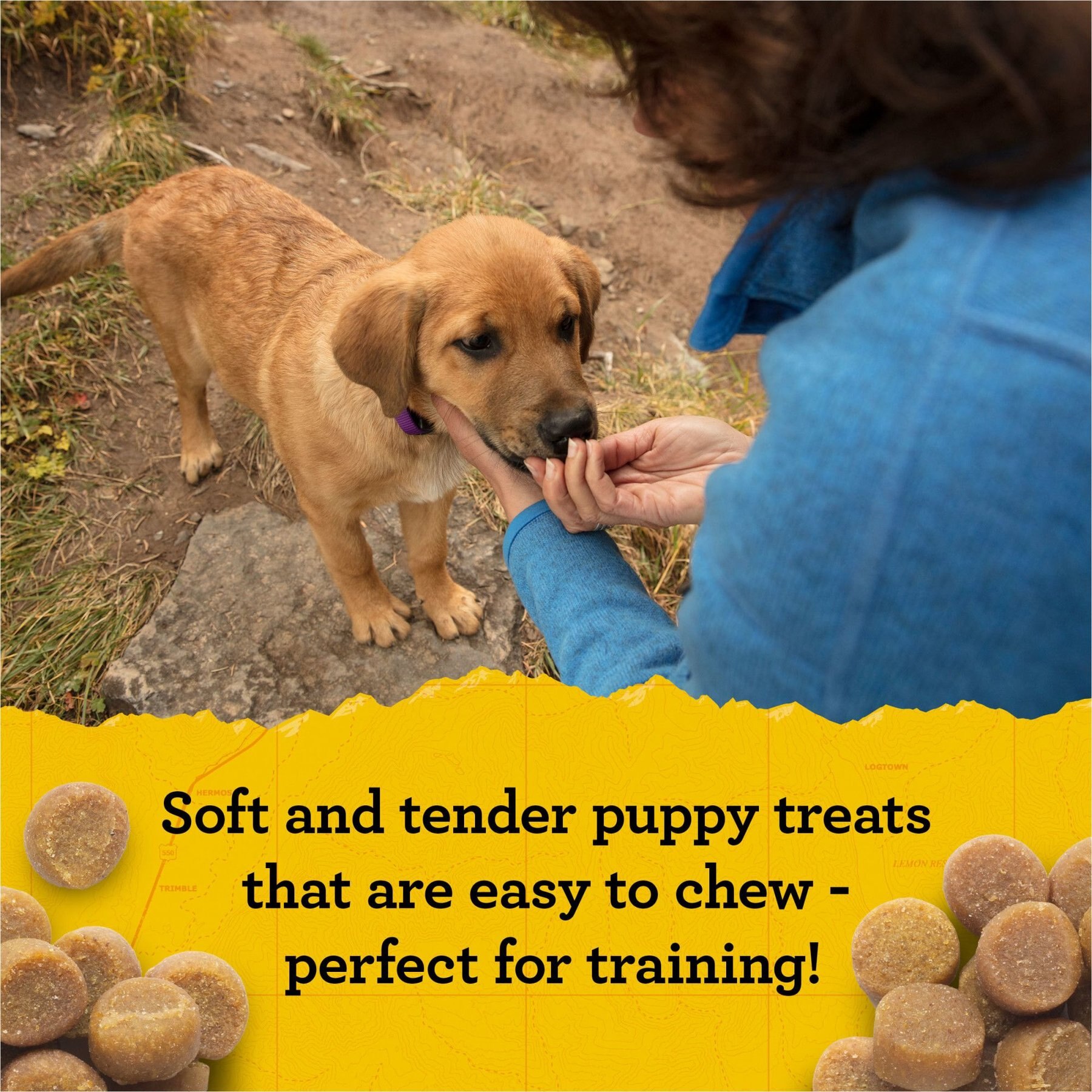 Zuke's Puppy Naturals Pork & Chickpea Recipe Grain-Free Dog Treats