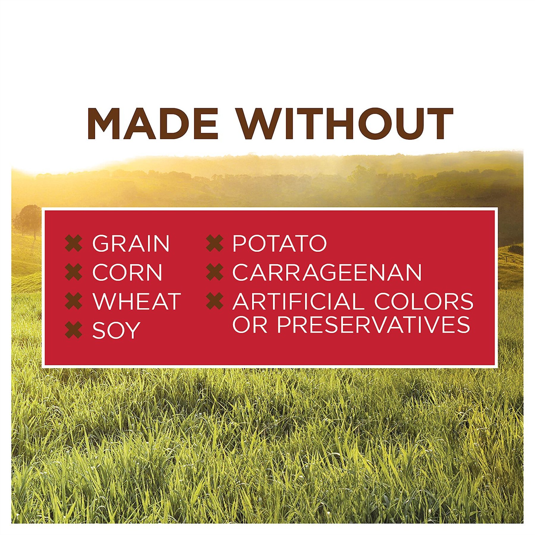Instinct Original Adult Grain-Free Real Beef Recipe Wet Dog Food