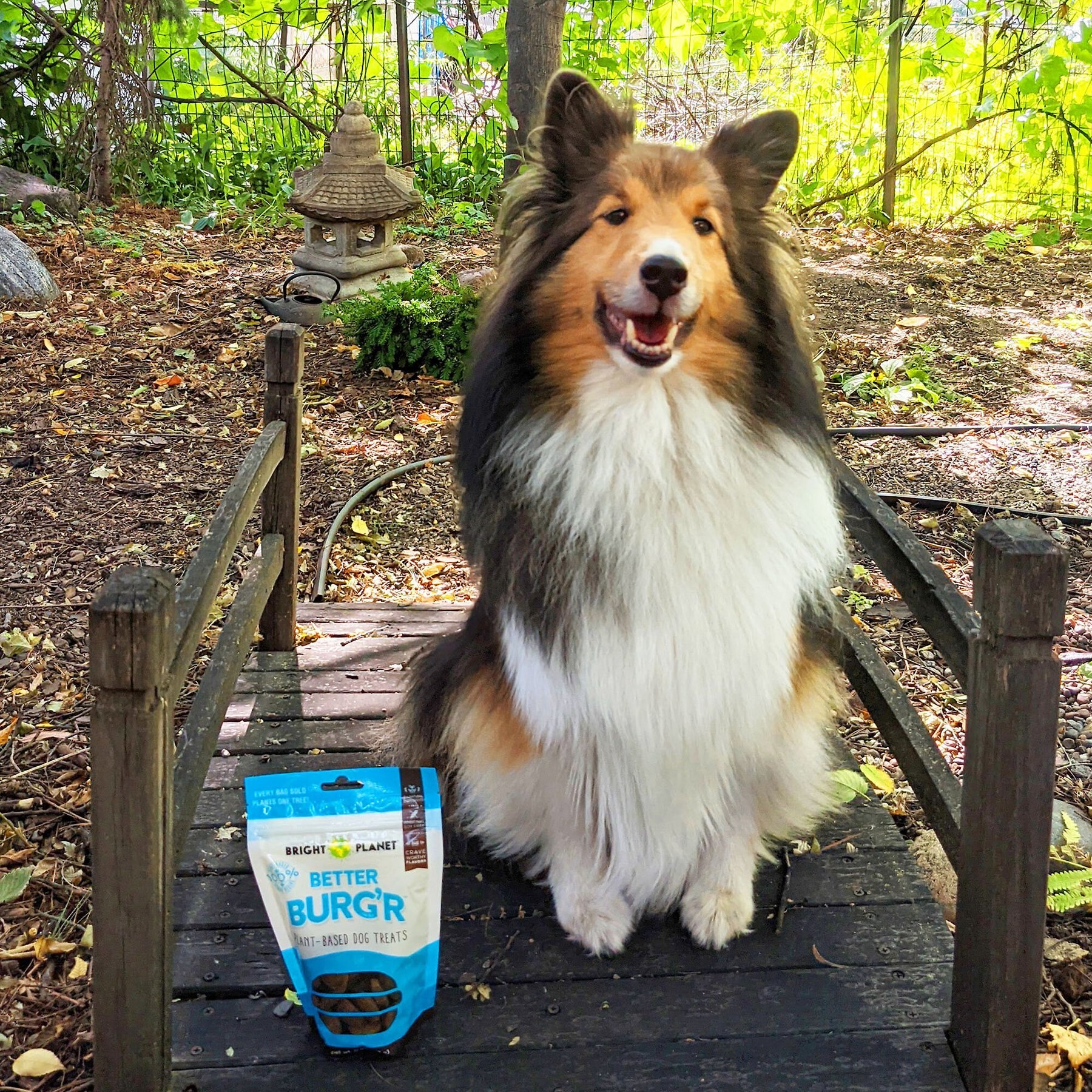 Bright Planet Pet Better Burg'r Plant-Based Dog Treats, 6-oz bag