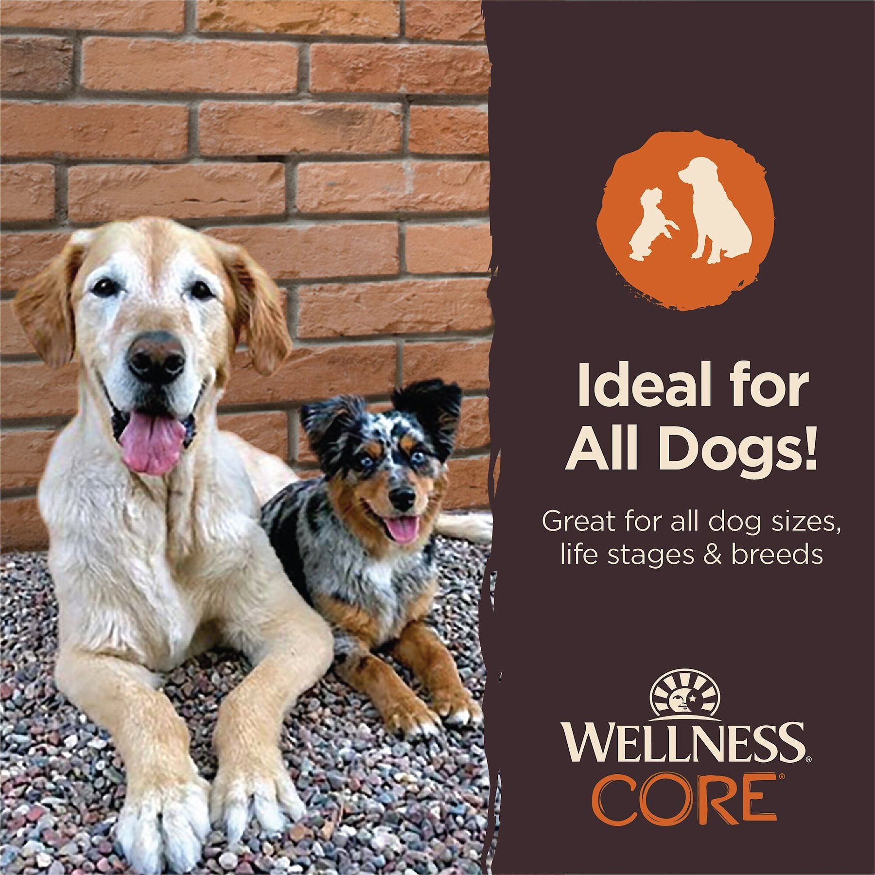 Wellness CORE Power Packed Chicken Grain-Free Jerky Dog Treats