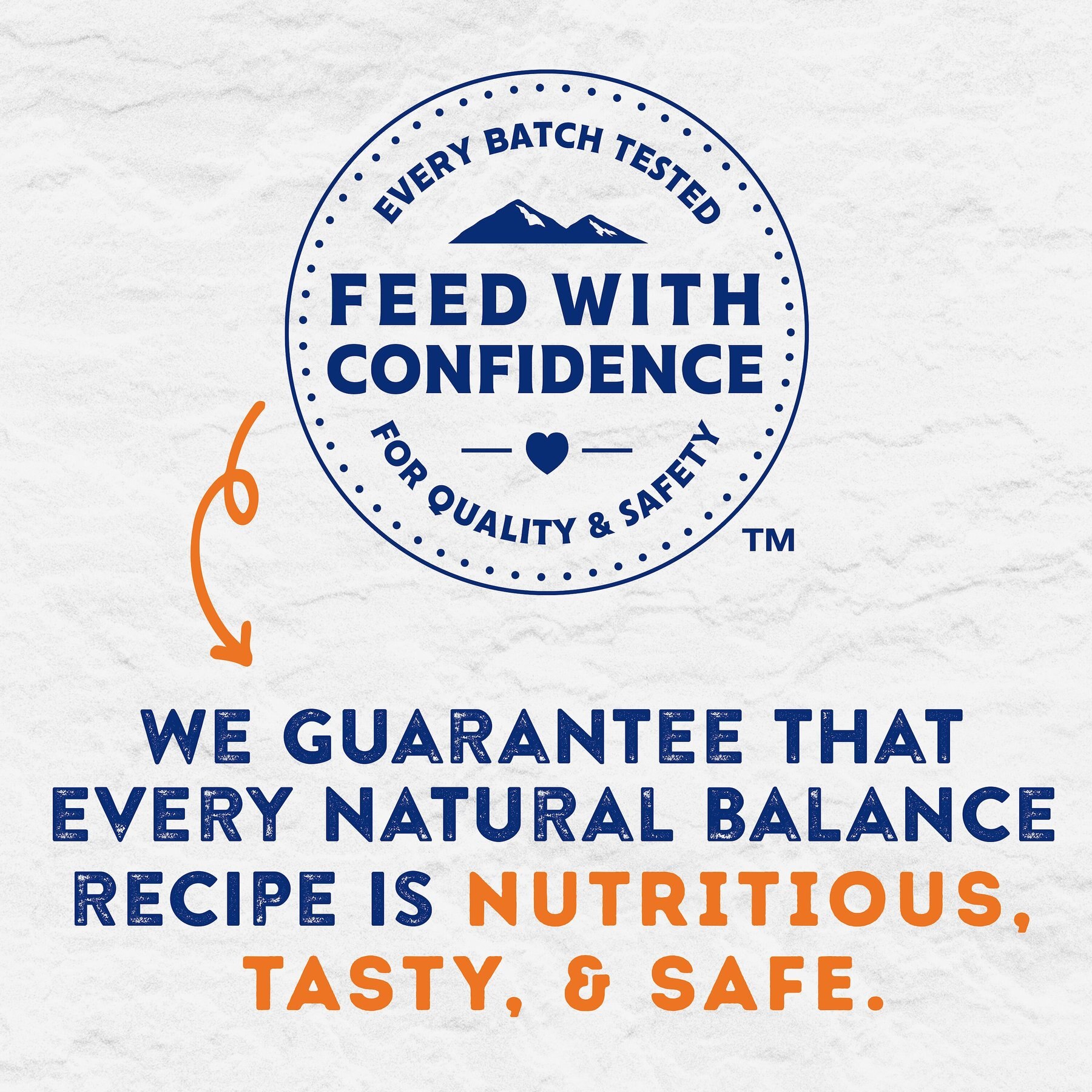 Natural Balance Platefulls Savory Duck & Pumpkin Recipe Wet Dog Food