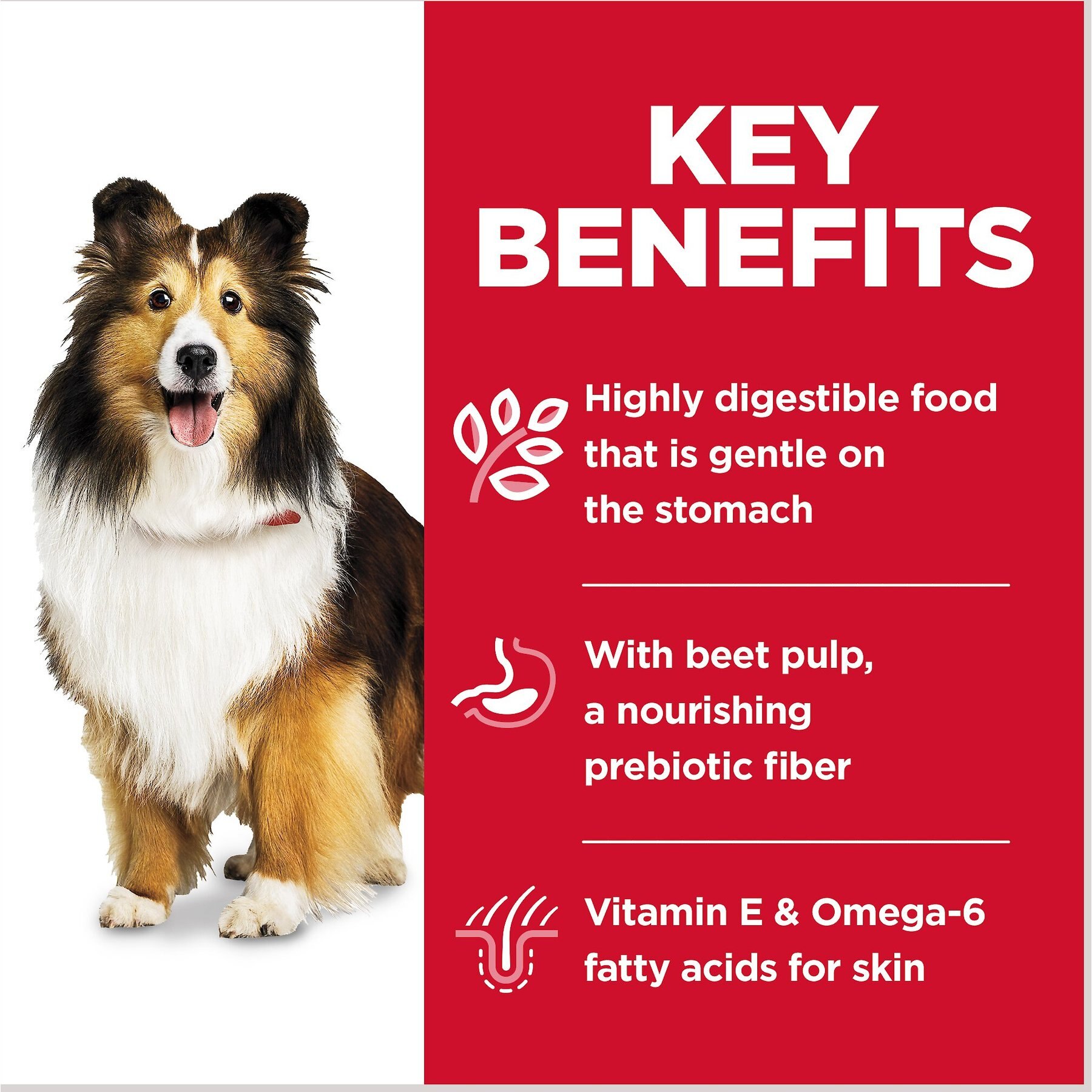 Hill's Science Diet Sensitive Stomach & Sensitive Skin Variety Pack Adult Canned Dog Food