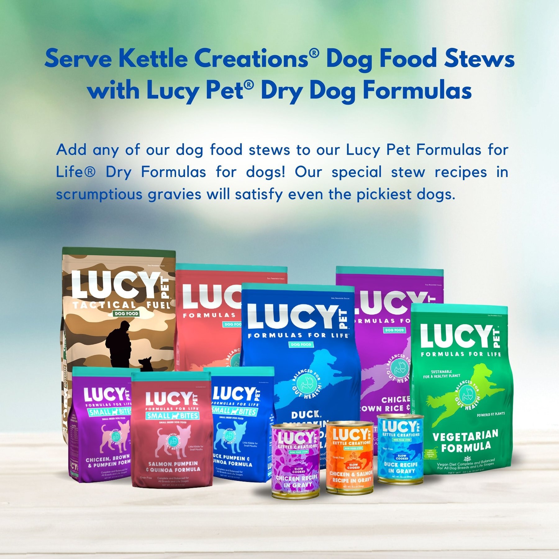 Lucy Pet Products Kettle Creations Chicken & Salmon Recipe in Gravy Wet Dog Food, 12.5-oz can, case of 12