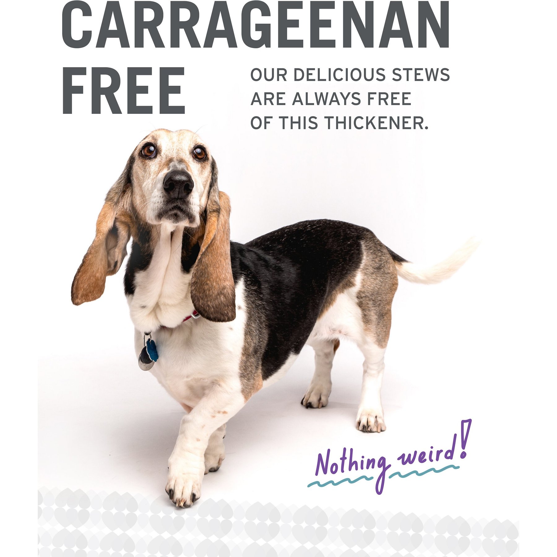 I and Love and You Cluckin' Good Stew Grain-Free Canned Dog Food
