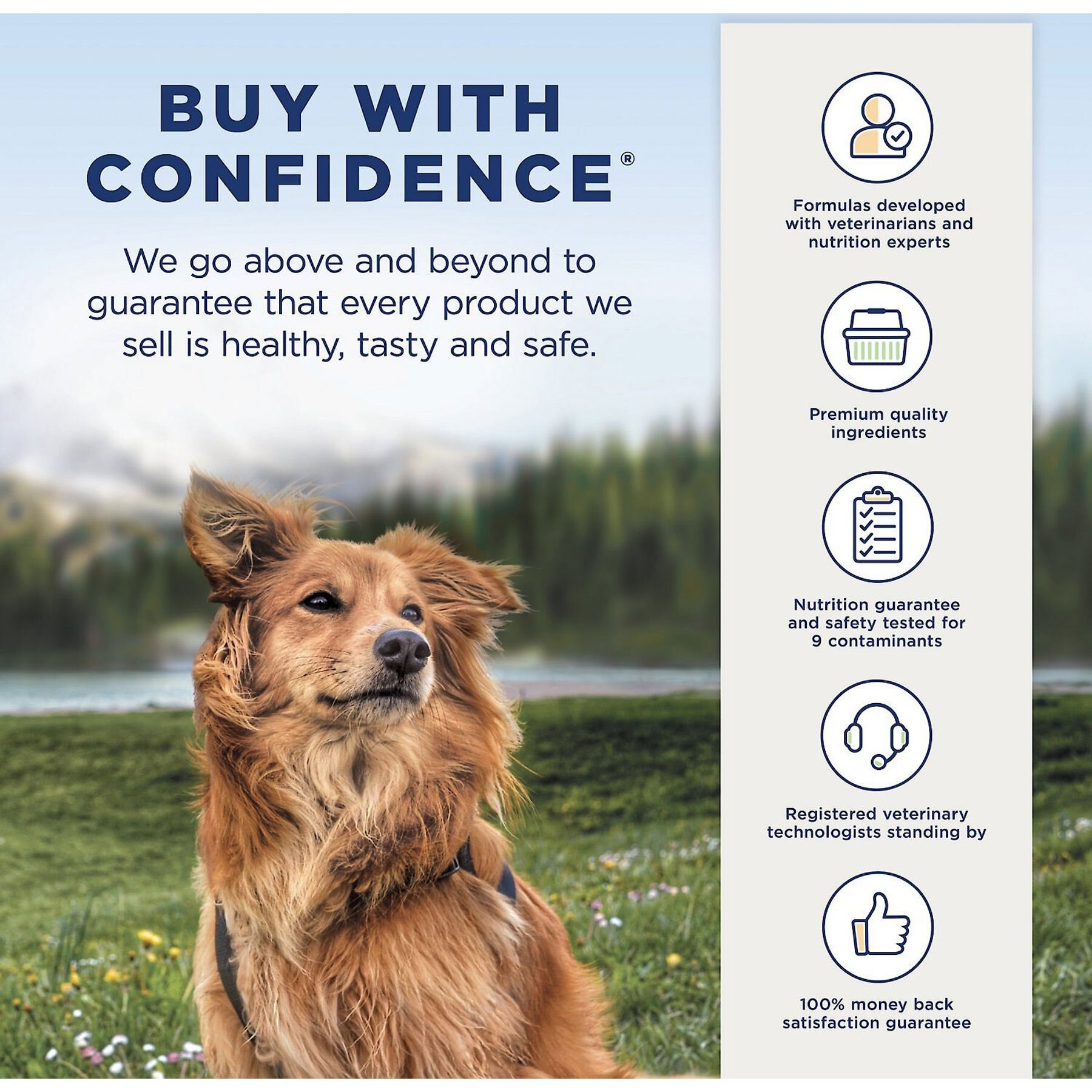 Natural Balance Rewards Crunchy Biscuits with Real Bison Dog Treats