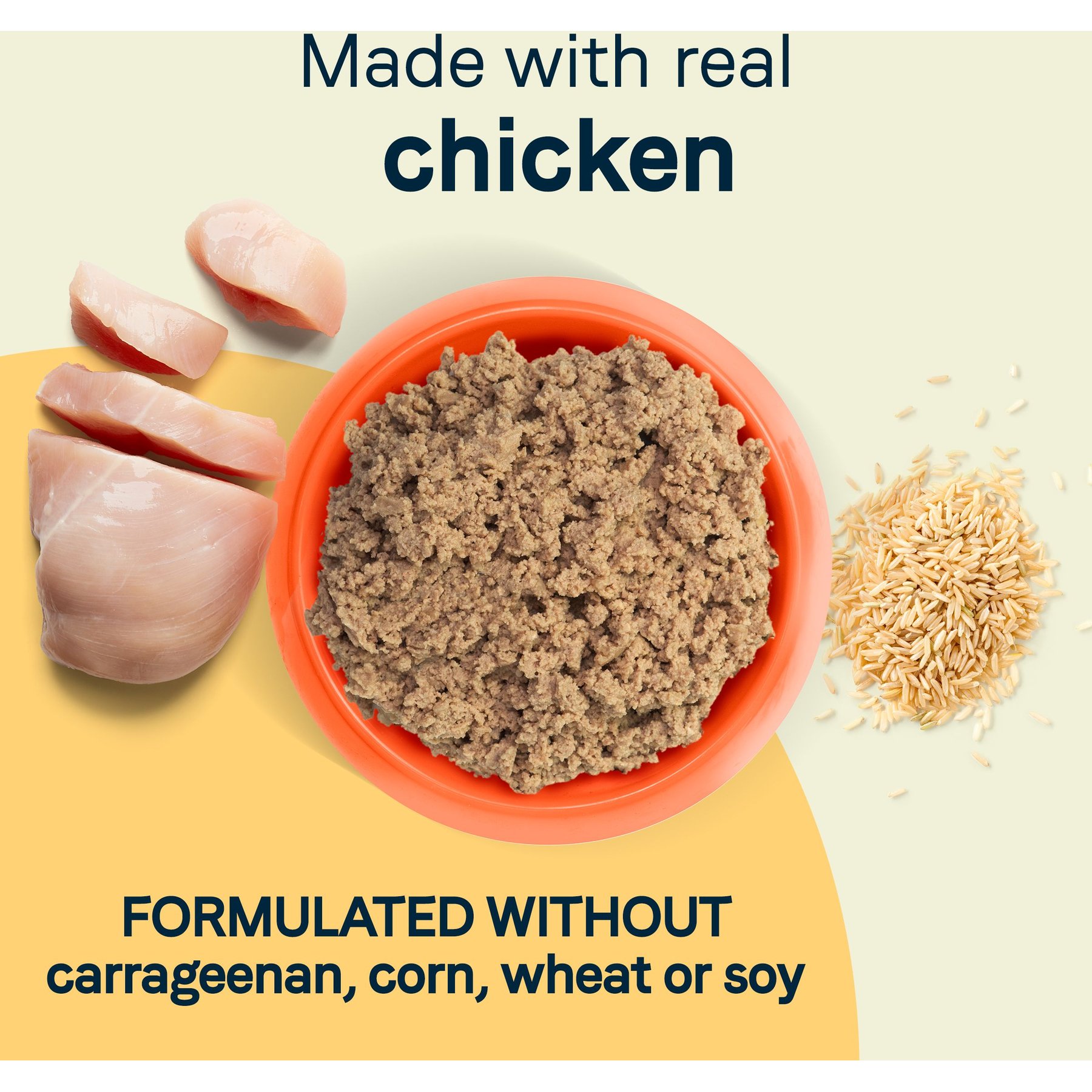 CANIDAE All Life Stages Formula Chicken & Rice Wet Dog Food, 22-oz can, case of 12