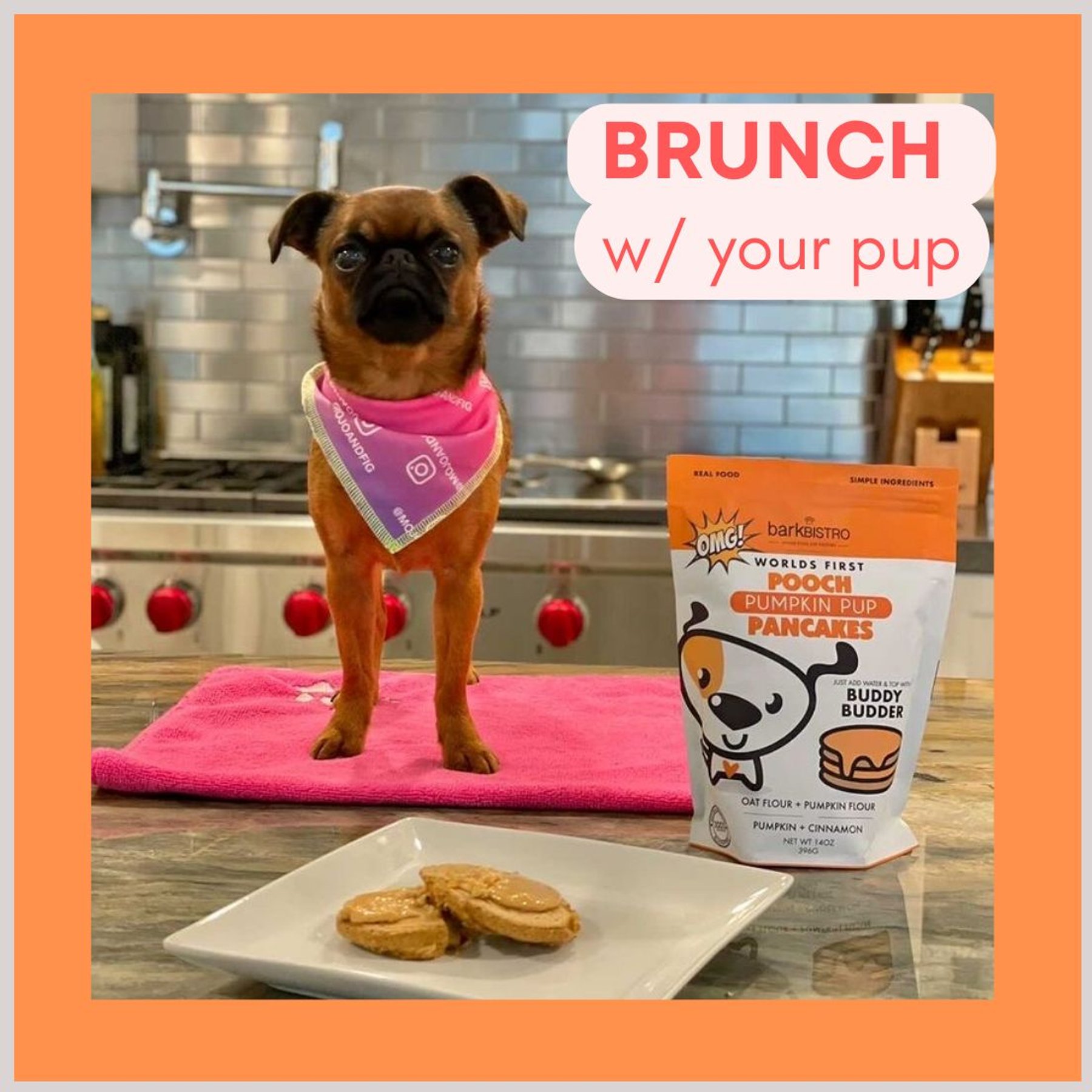 Bark Bistro Company Pooch Pancakes Pumpkin Pup Dog Treat, 14-oz bag