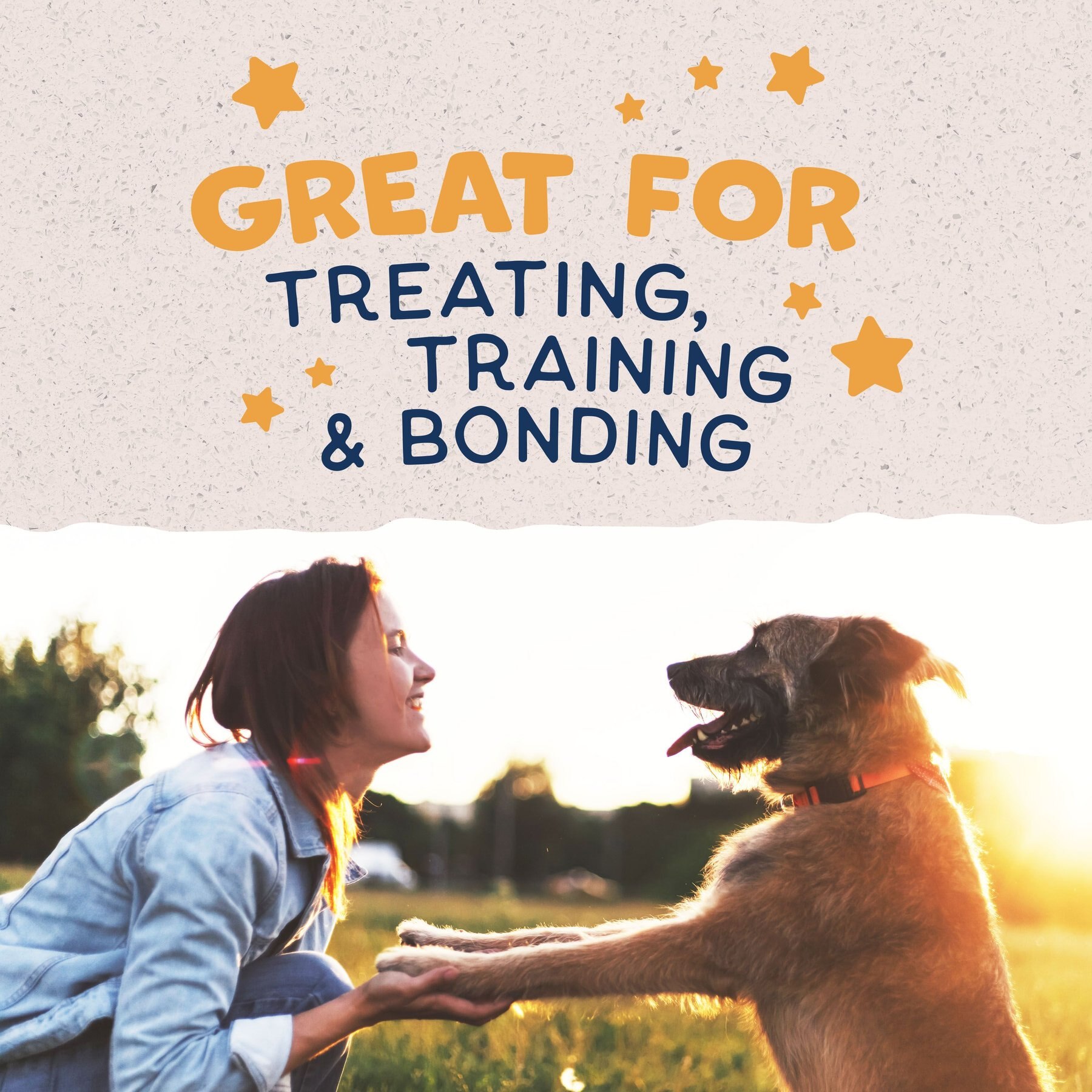 Natural Balance Rewards Jumpin' Stix with Real Duck Dog Treats