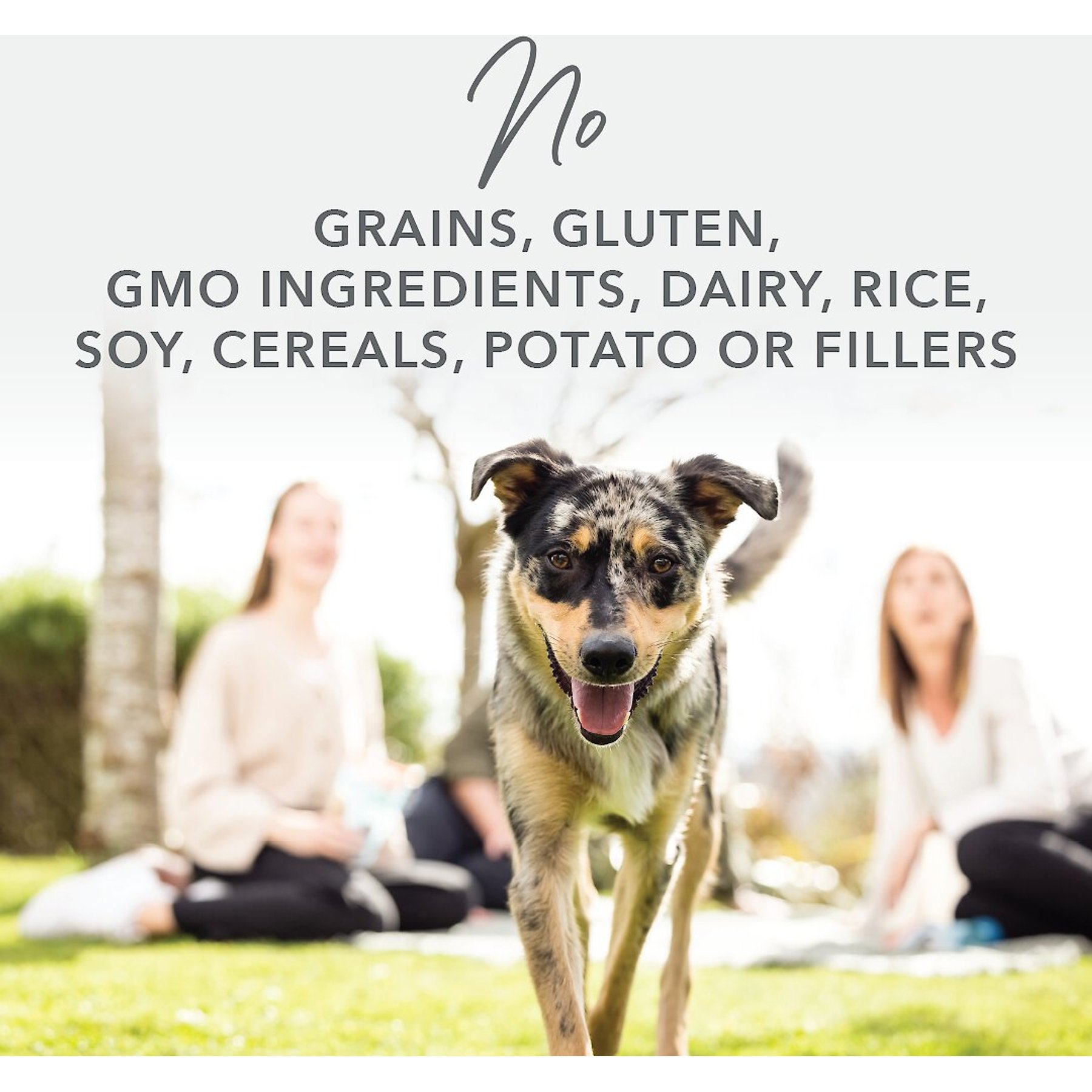 K9 Natural Cage-Free Chicken Feast Grain-Free Canned Dog Food