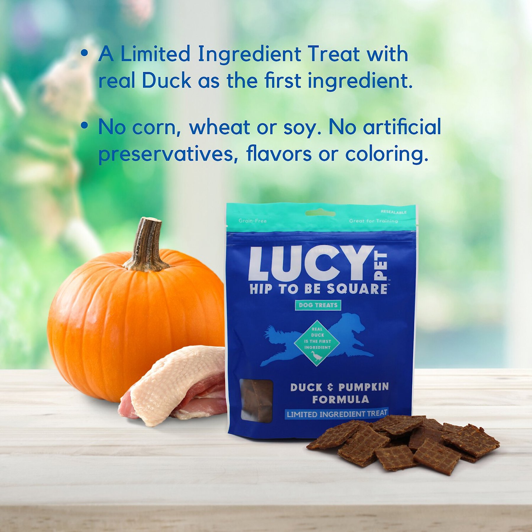 Lucy Pet Products Hip To Be Square Duck & Pumpkin Formula Grain-Free Dog Treats