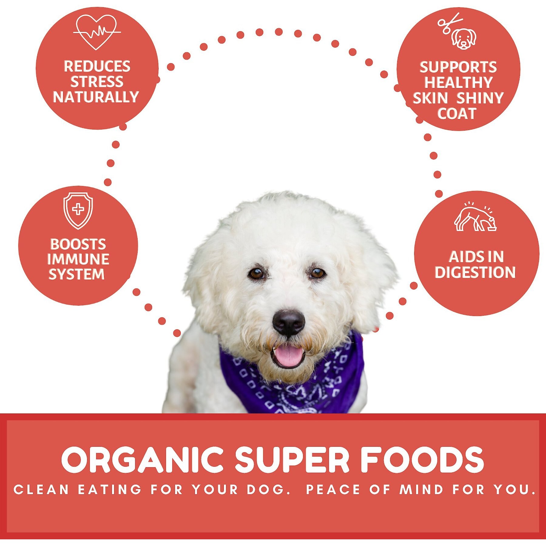 Dog Mamma’s Organic Apple Cranberry Crisp Dog Treats