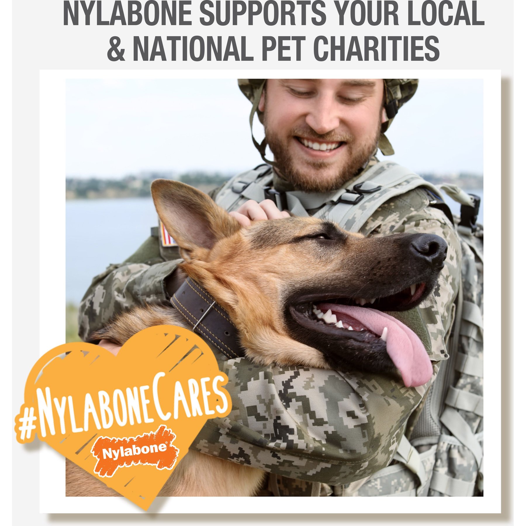 Nylabone Healthy Edibles All-Natural Long Lasting Roast Beef Dog Chew Treats