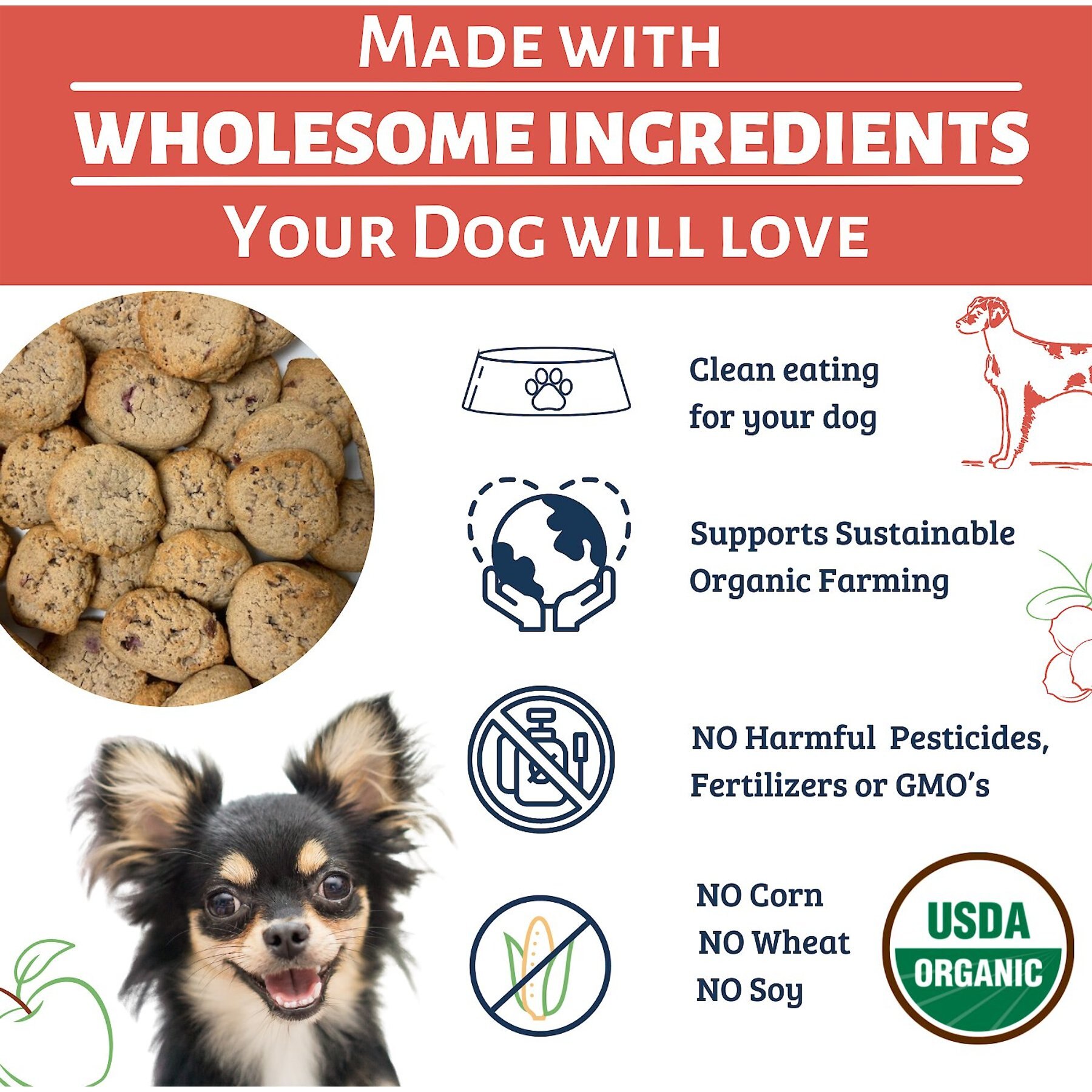 Dog Mamma’s Organic Apple Cranberry Crisp Dog Treats