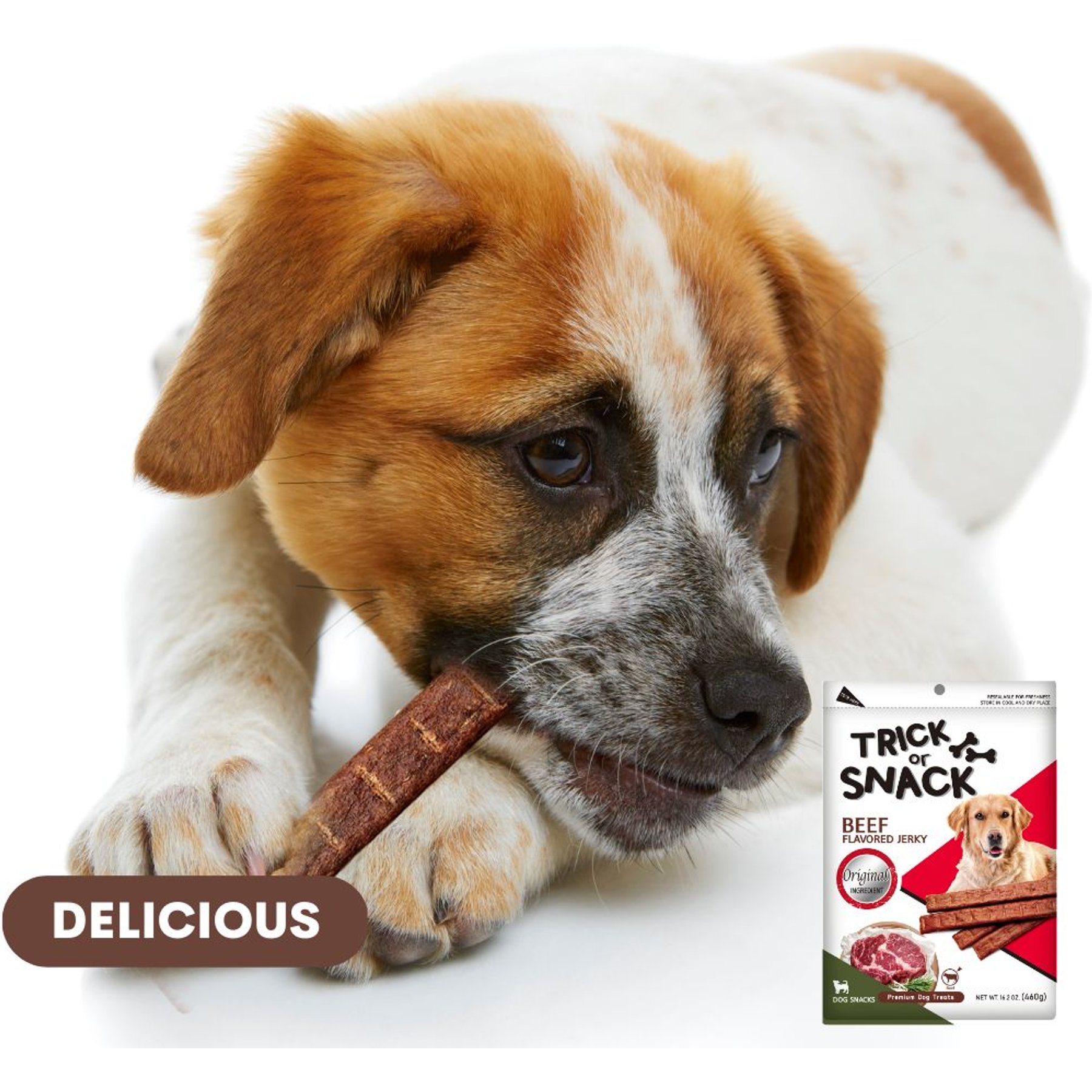 Trick or Snack Natural Smoked Delicious Soft Tender Nutritious Healthy Beef Original Jerky Dog Treat, 1-lb bag