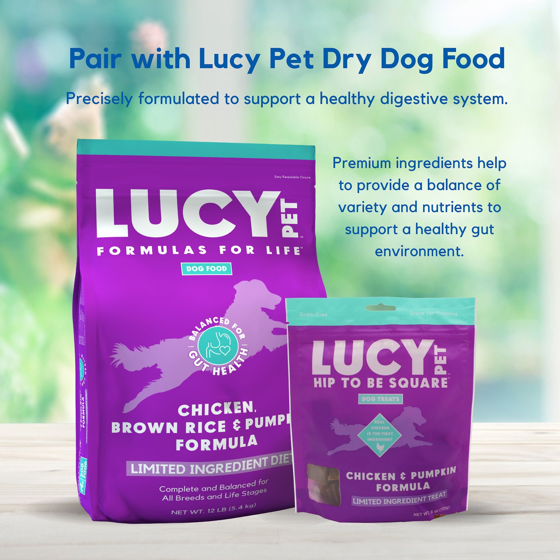 Lucy Pet Products Hip To Be Square Chicken & Pumpkin Formula Grain-Free Dog Treats
