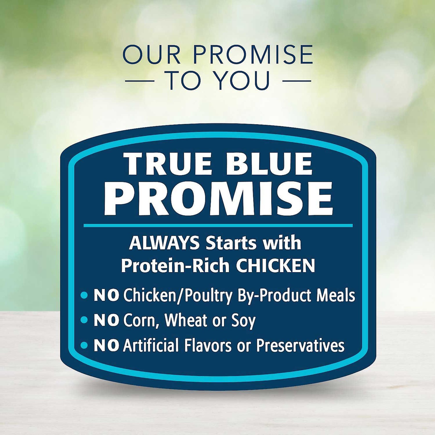 Blue Buffalo Freedom Adult Chicken Recipe Grain-Free Canned Dog Food