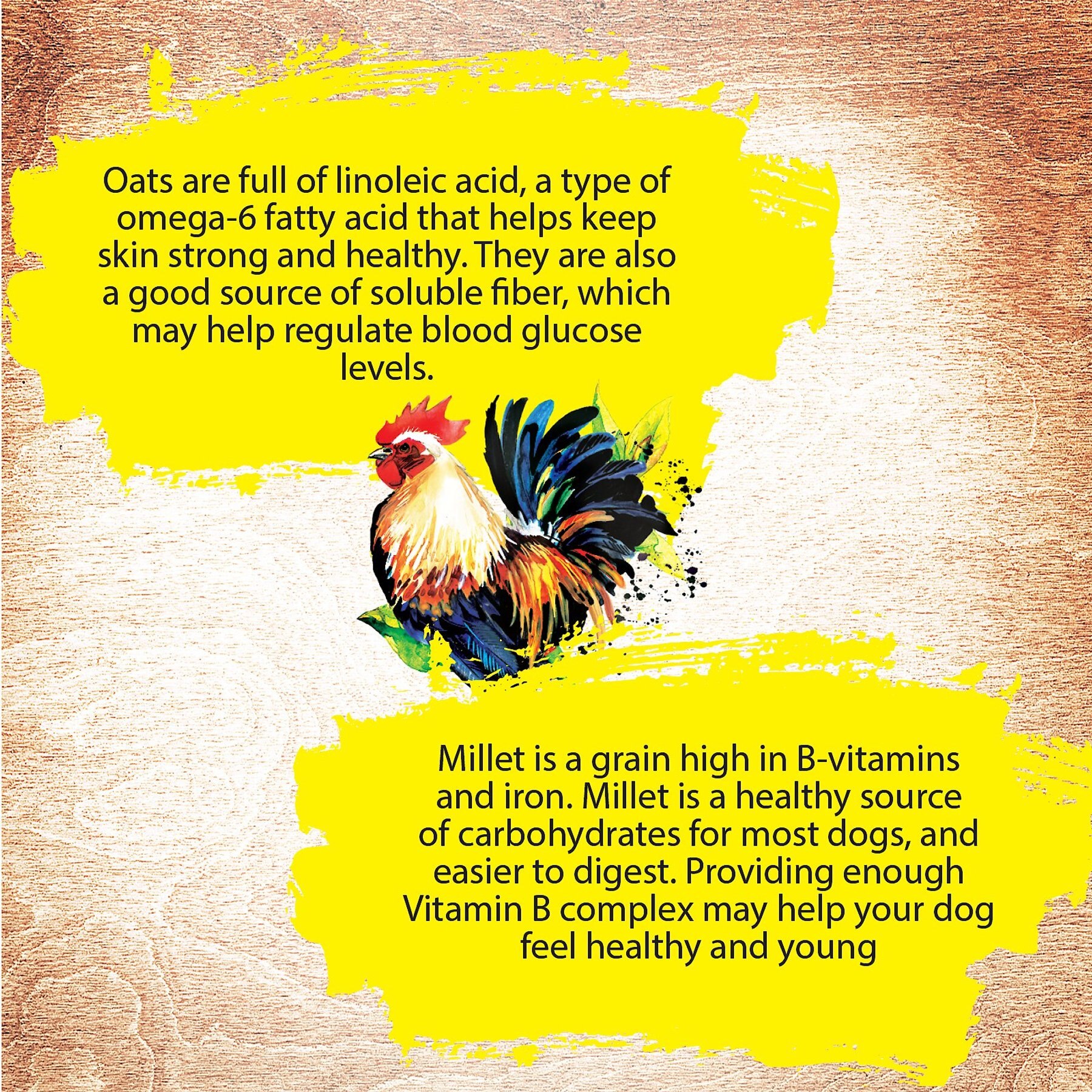 Inception Chicken Recipe Canned Dog Food, 13-oz, case of 12
