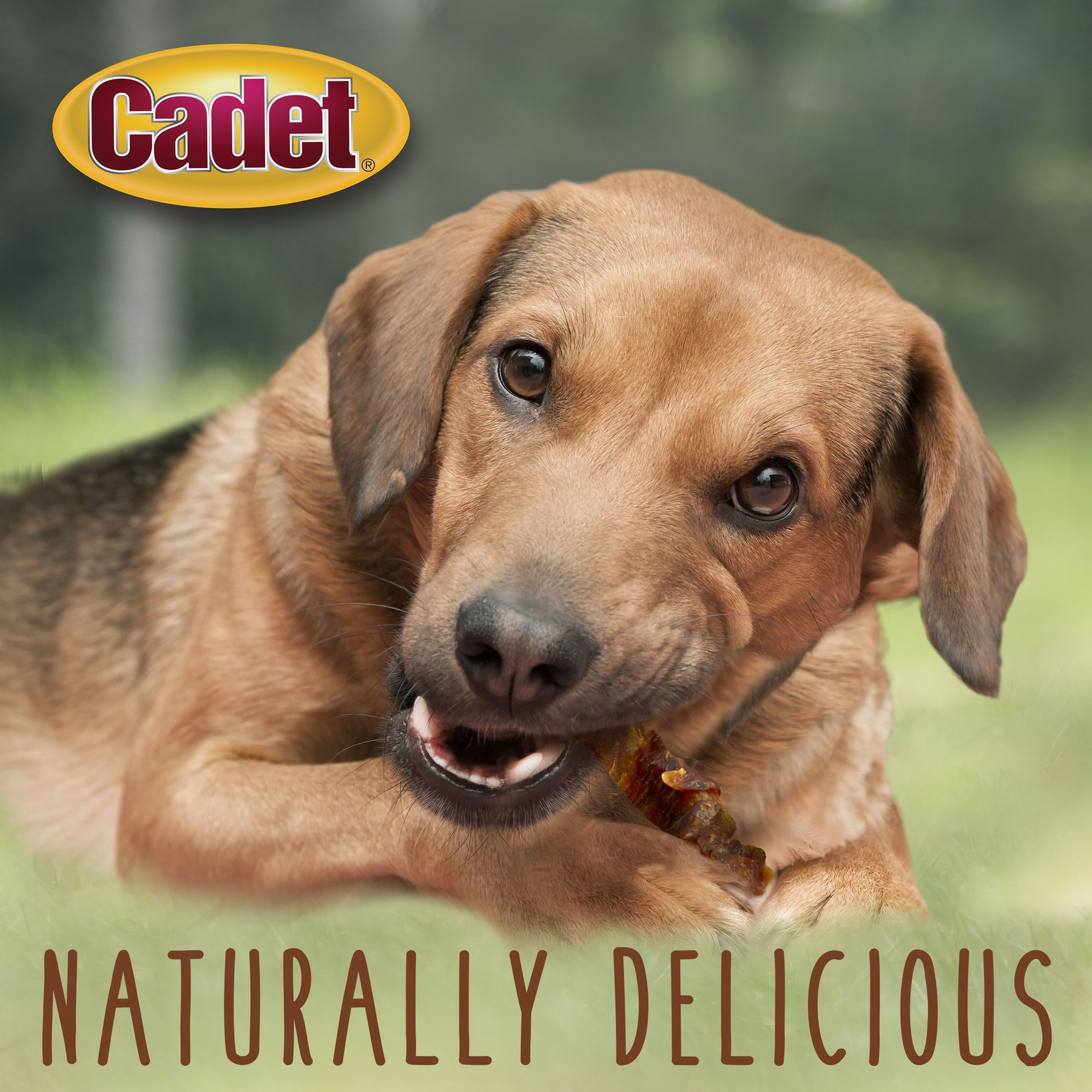 Cadet Gourmet Chicken-Wrapped Sweet Potato Dog Treat Wraps