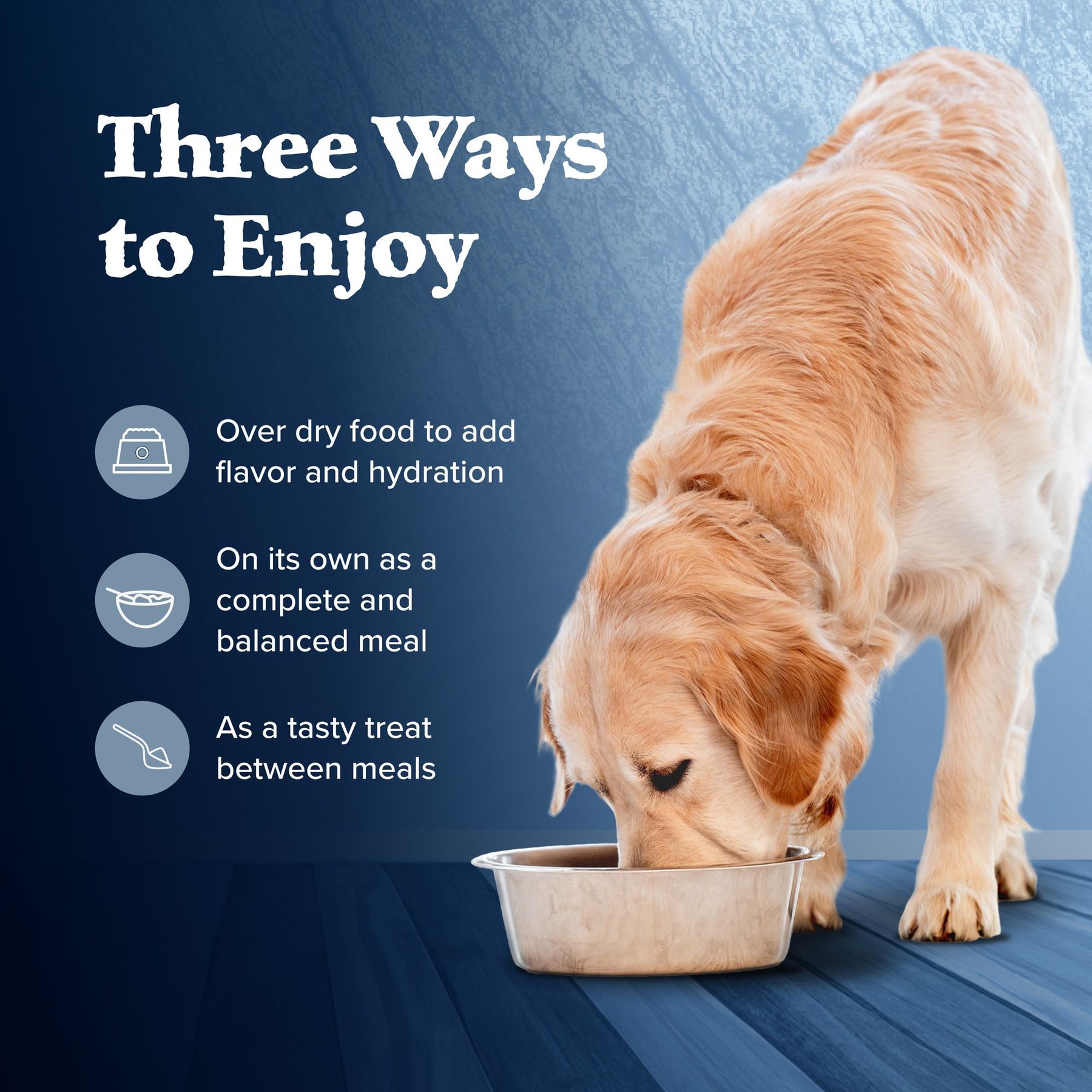Blue Buffalo Wilderness Turkey & Chicken Grill with Oats & Barley Adult Wet Dog Food