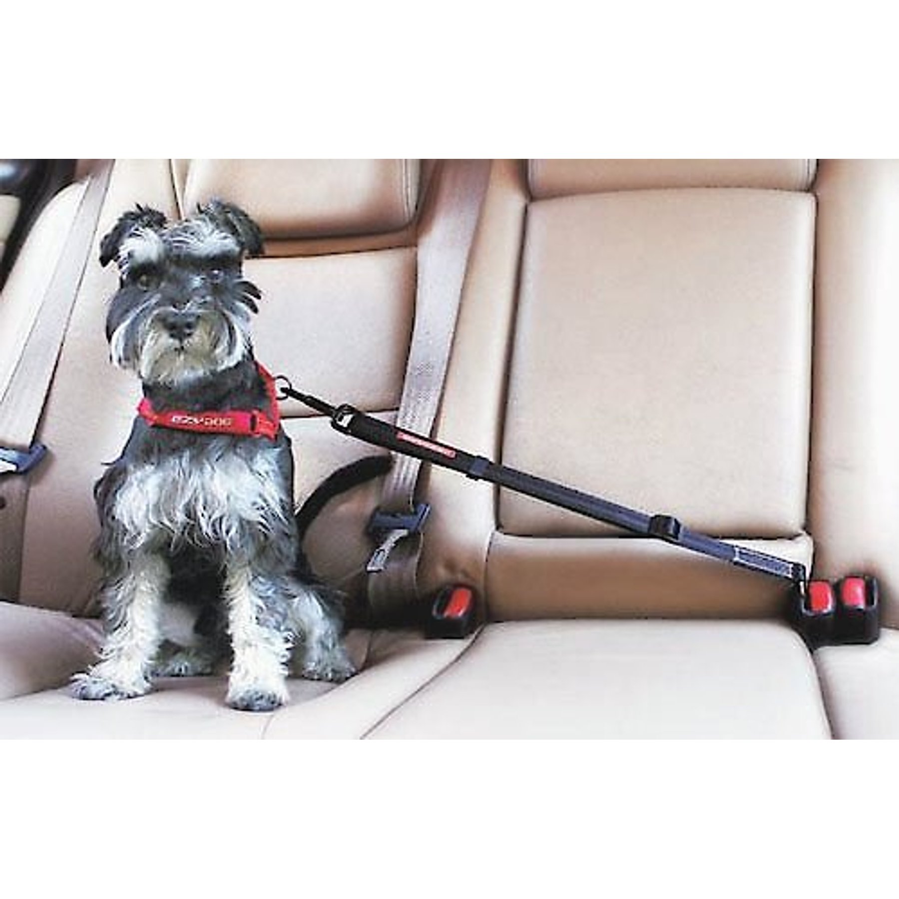 EzyDog Click Adjustable Seat Belt Restraint