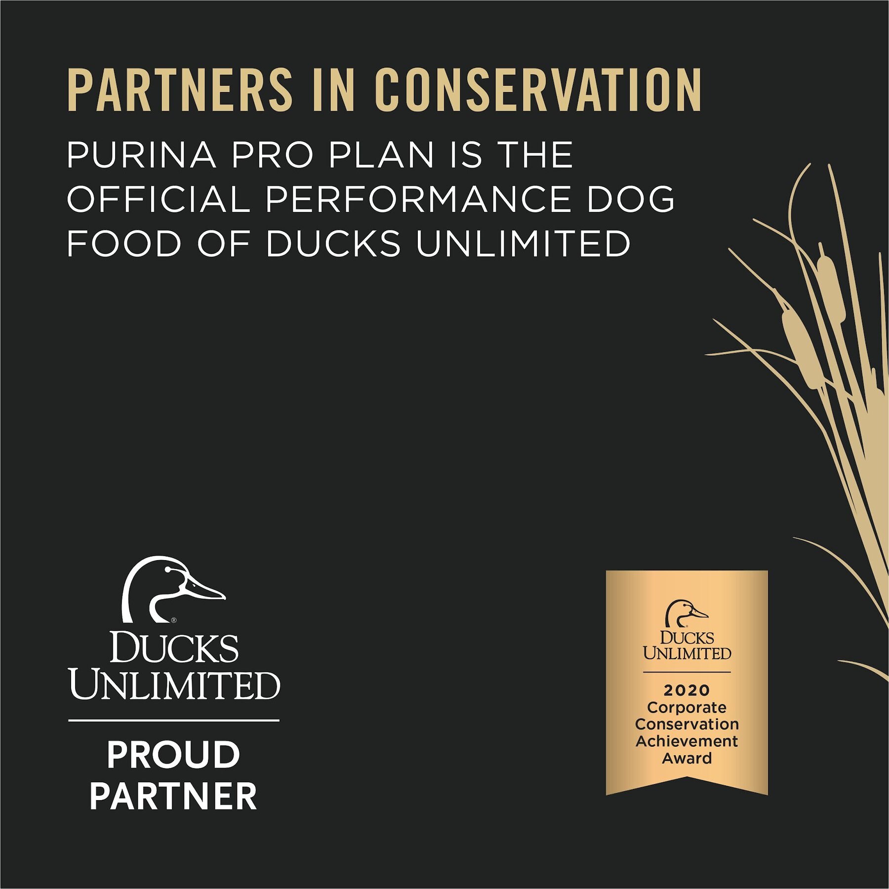Purina Pro Plan Sport High Protein Beef & Bison Entrée Wet Dog Food