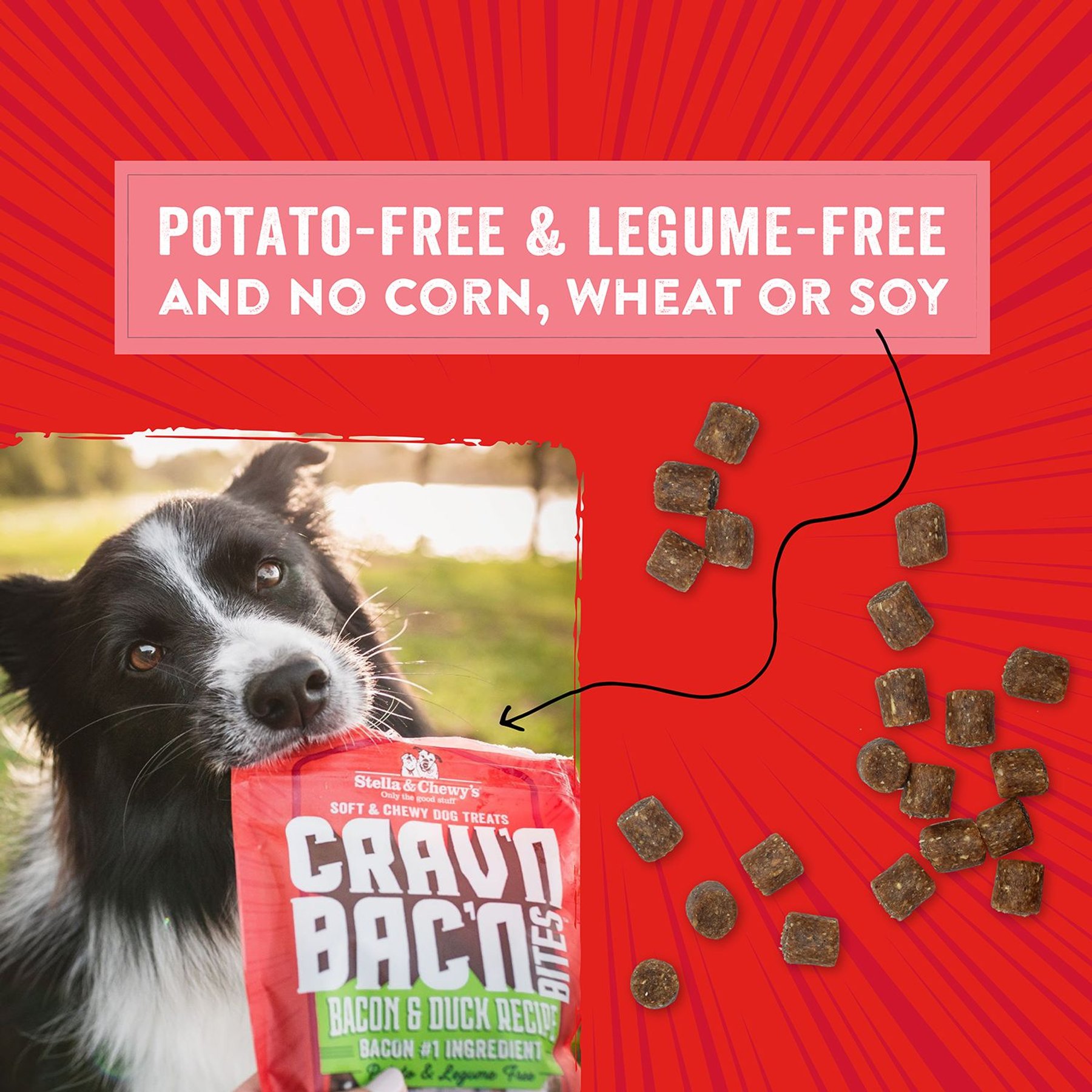 Stella & Chewy's Crav'n Bac'n Bites Bacon & Pork Recipe Dog Treats, 8.25-oz bag