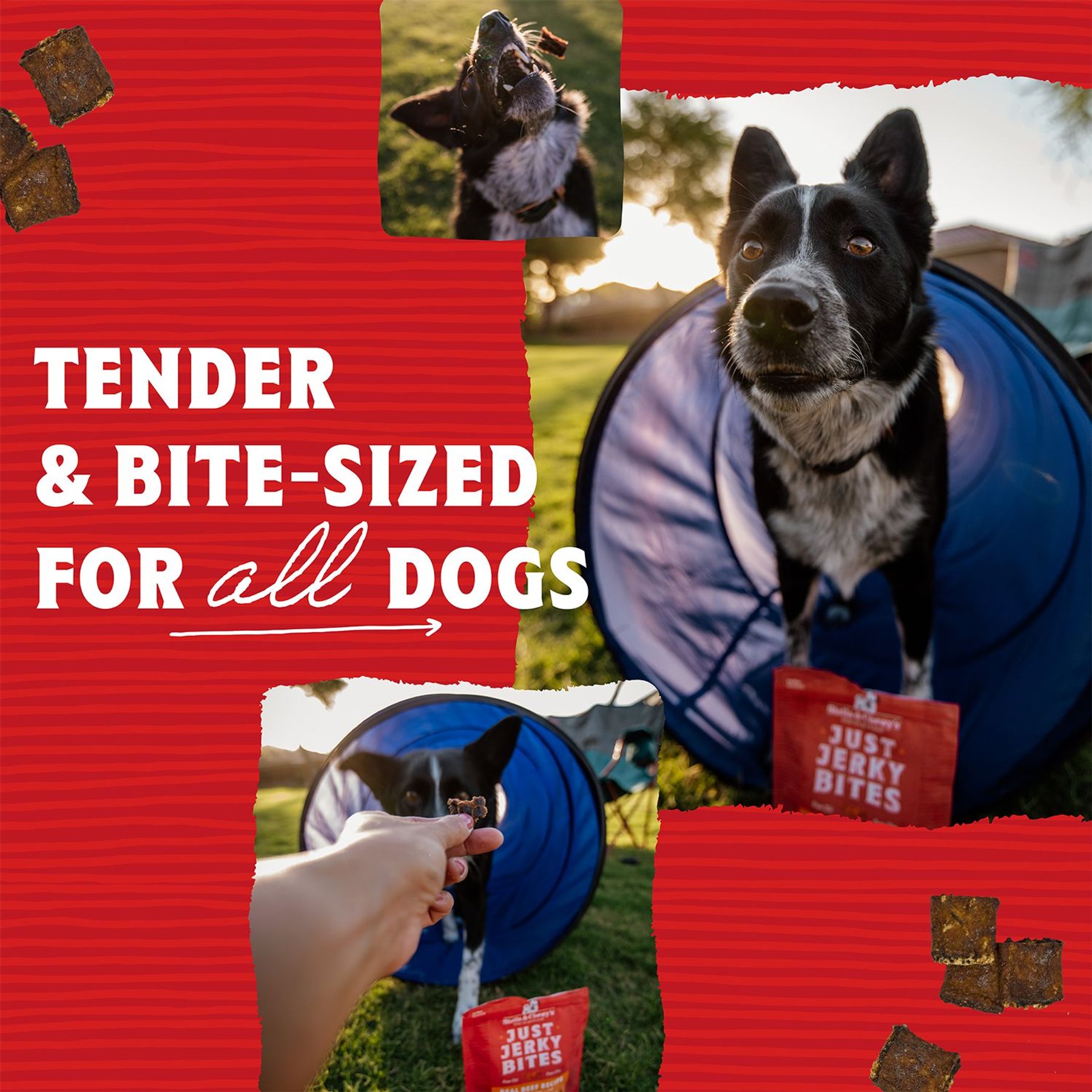 Stella & Chewy's Just Jerky Bites Real Chicken Recipe Grain-Free Dog Treats
