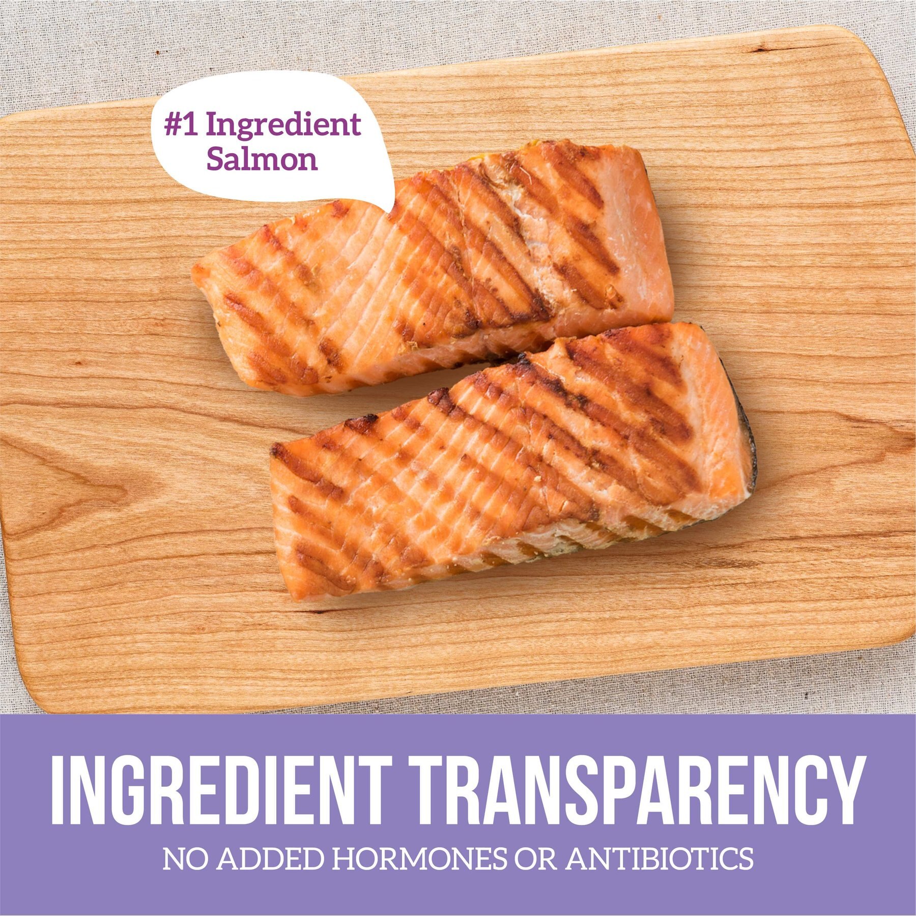 Health Extension Grain-Free Salmon Entree Canned Dog Food